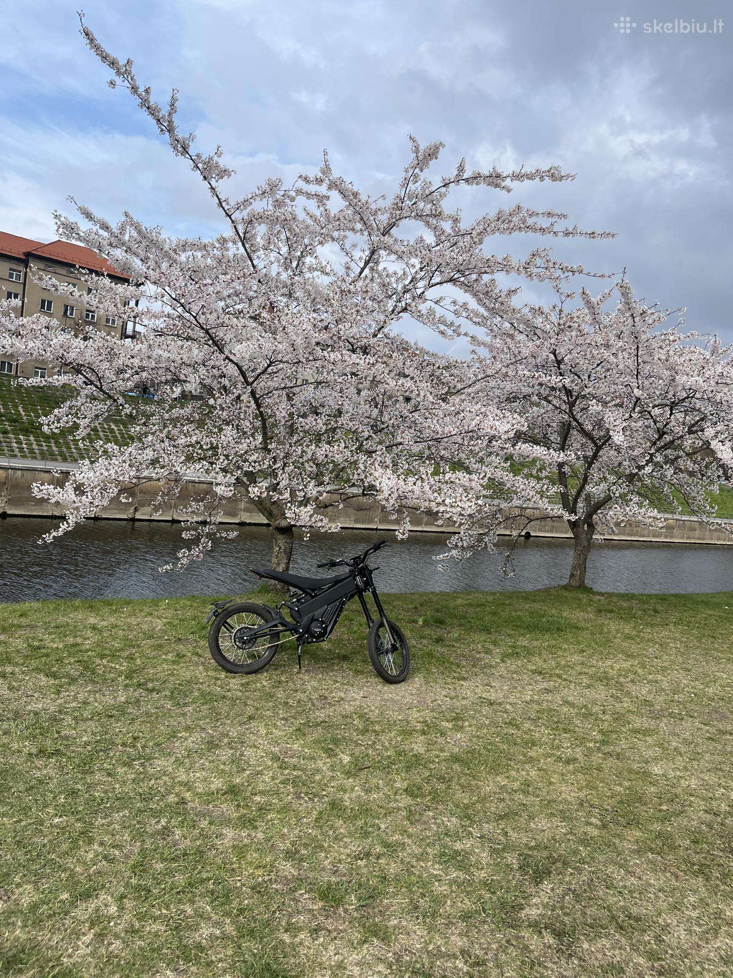 Talaria X3 PRO, street / classic