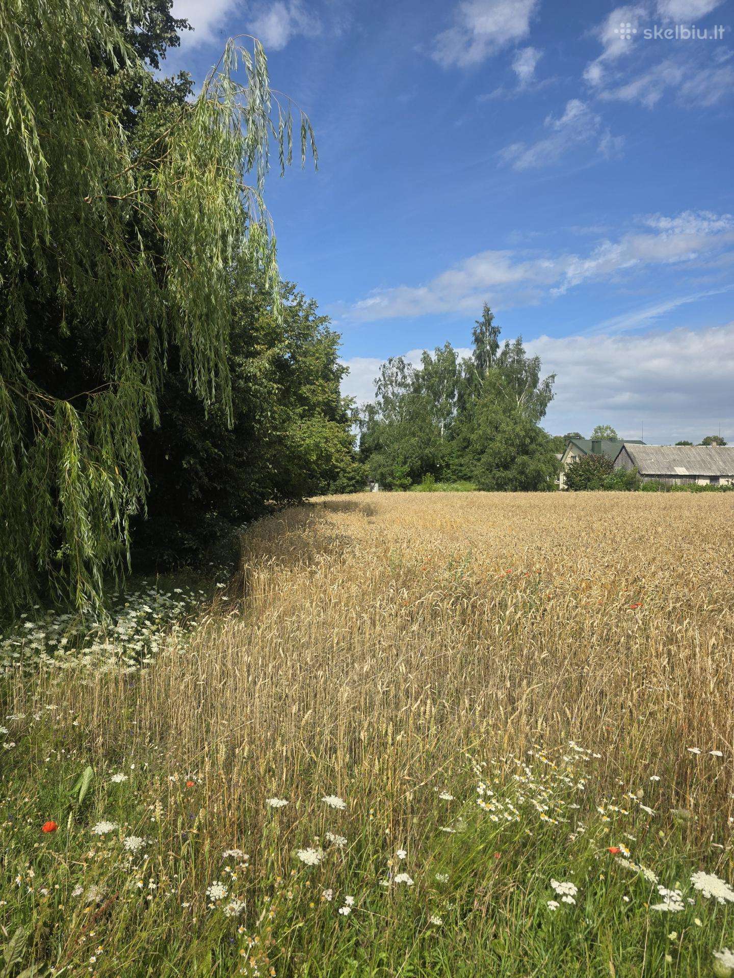 Parduodamas 0,19 ha žemės ūkio paskirties sklypas