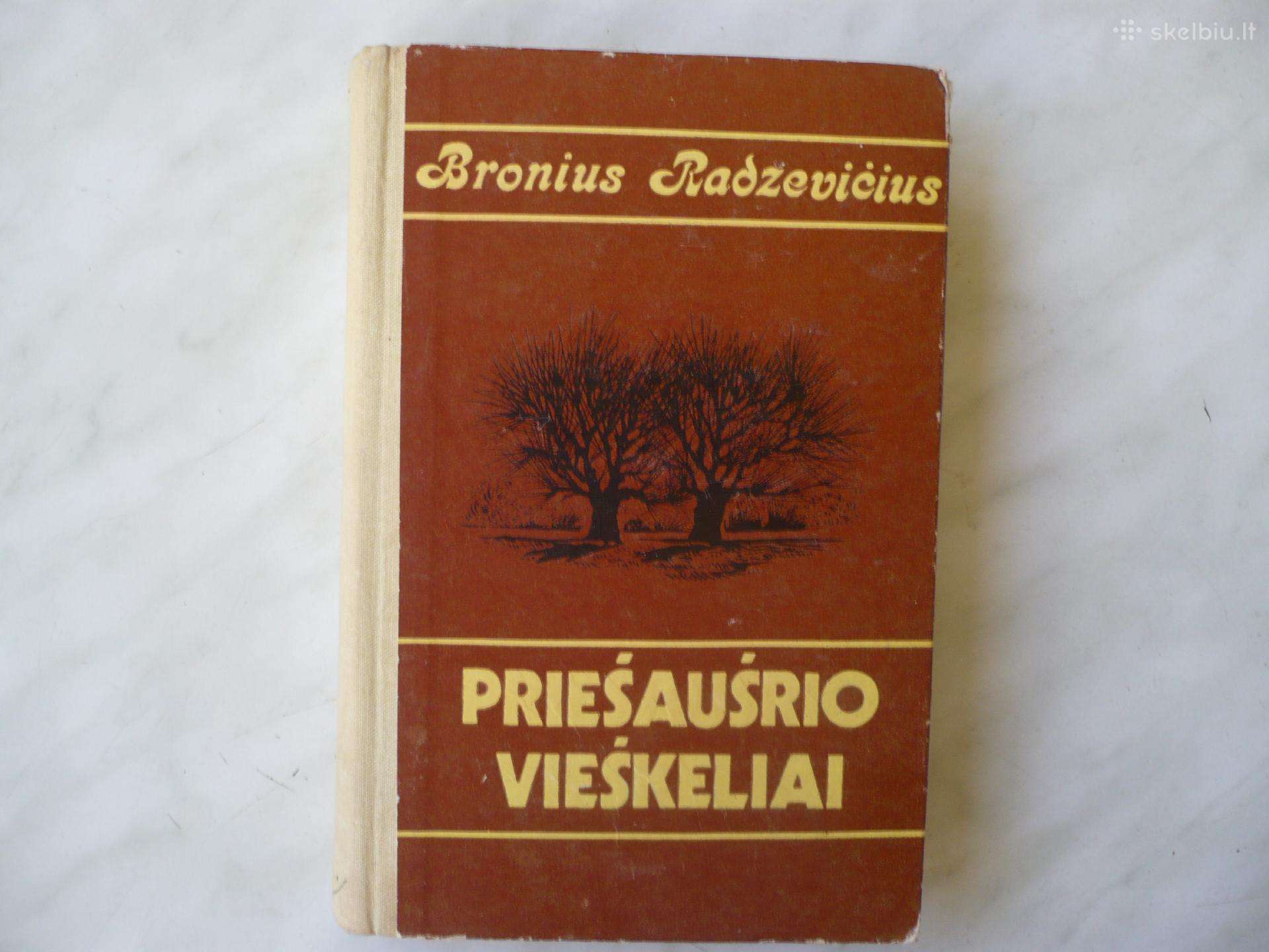 B. Radzevičius - Priešaušrio vieškeliai