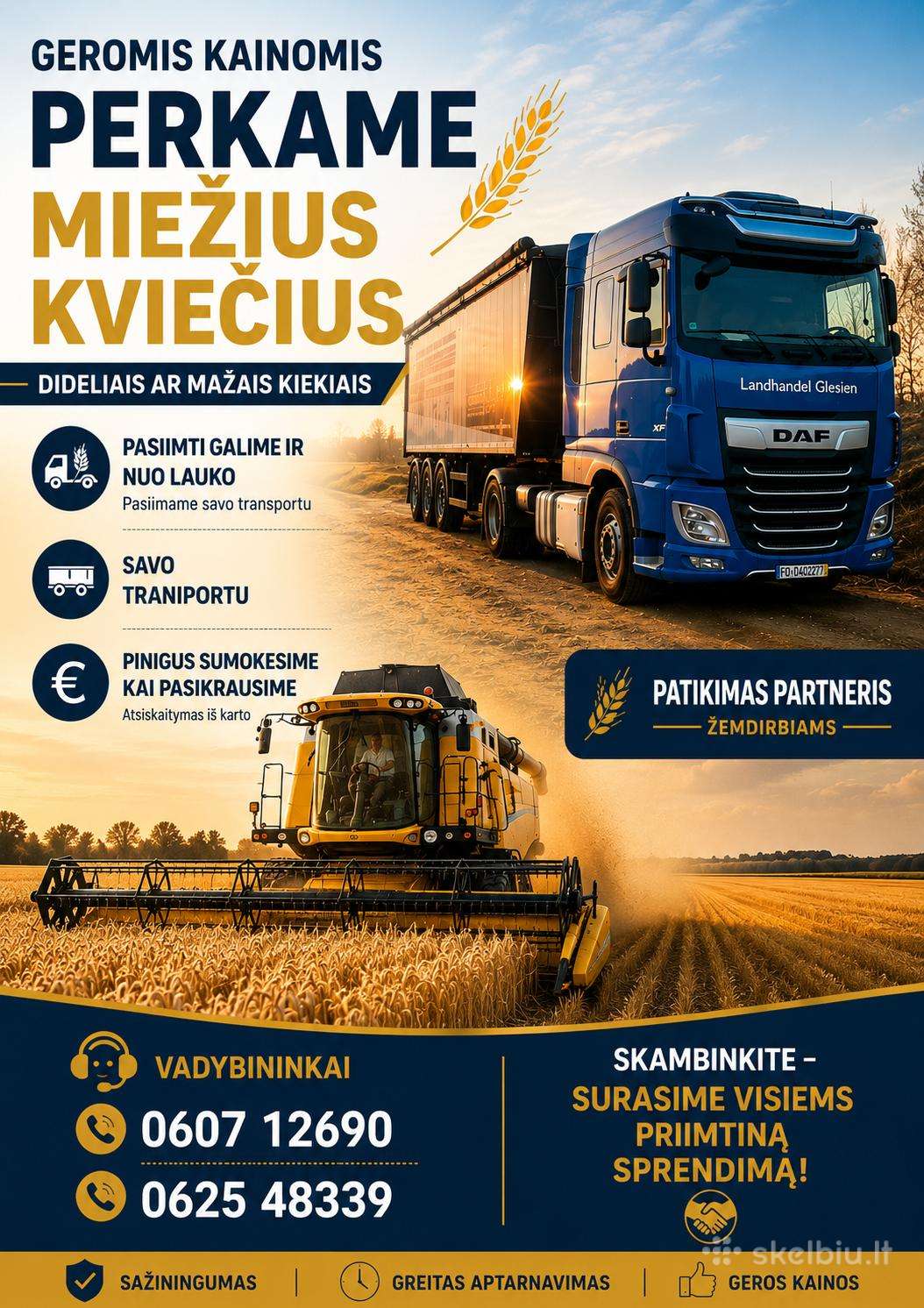 Grūdų supirkimas, perkame grūdus,kiečius miežius