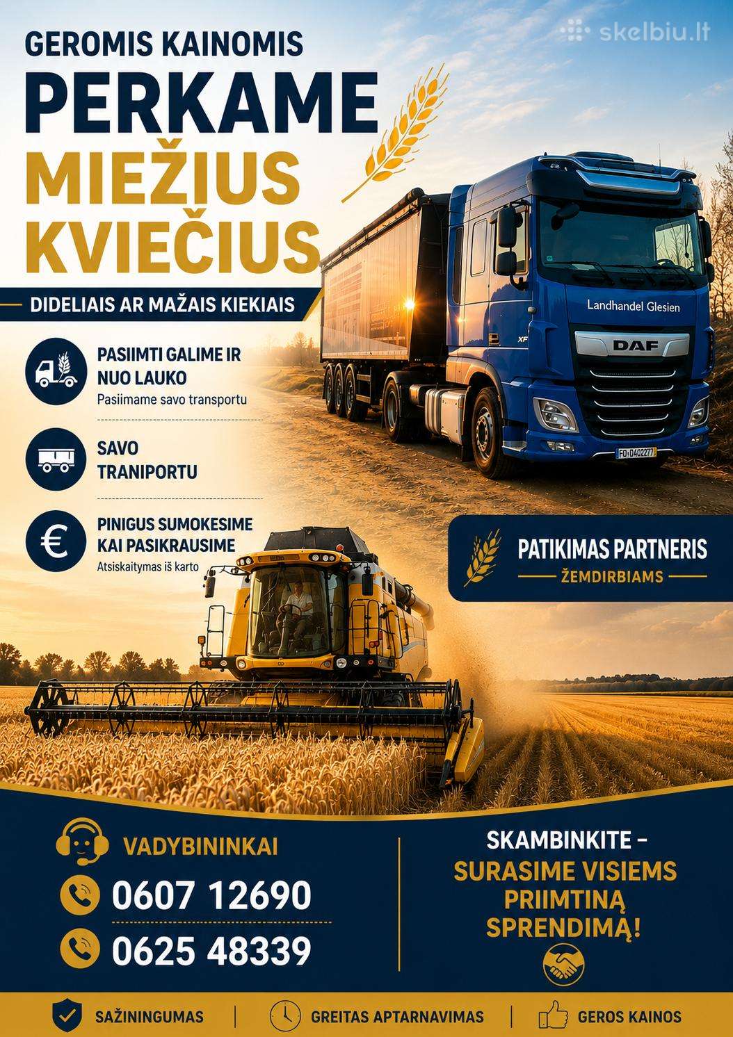Grūdų supirkimas, perkame grūdus,kiečius miežius