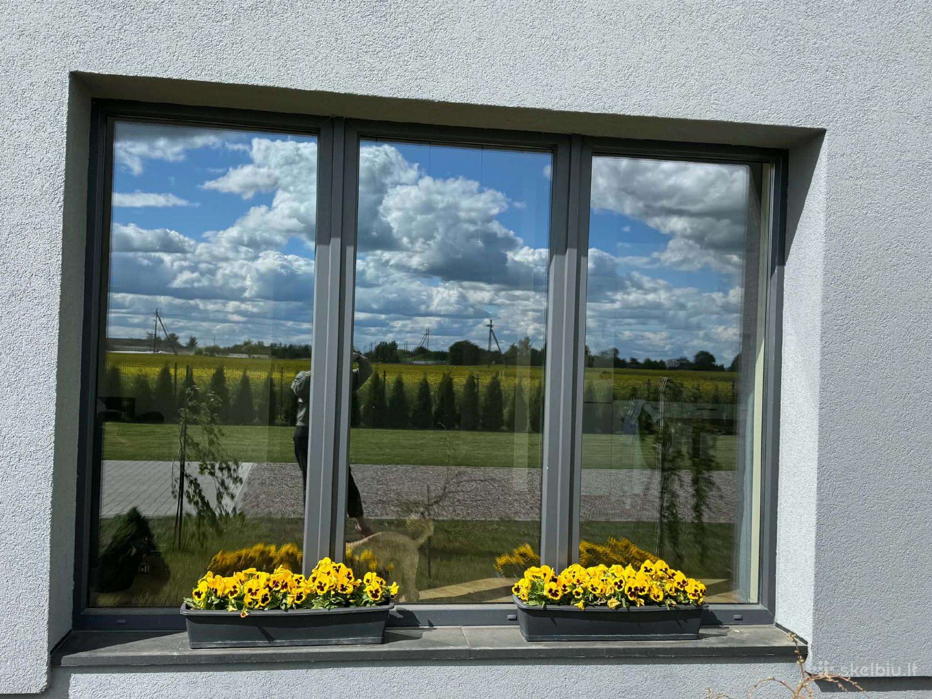 Vitrinos 200e viena vitriną skilus.aluplast 3stkl