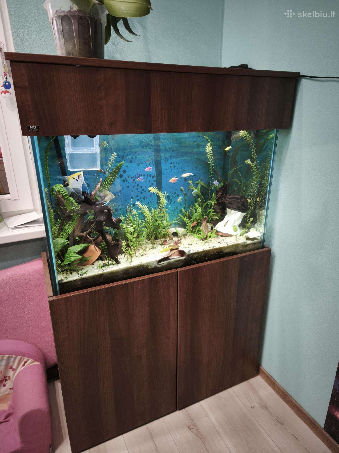 Akvariumas 230l su viskuo :)