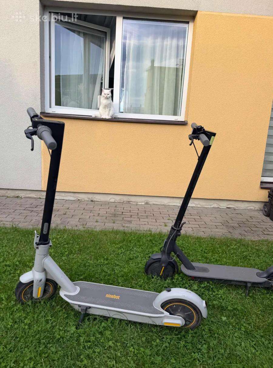 Elektrinis "ninebot" paspirtukas ir juodas dovanų.