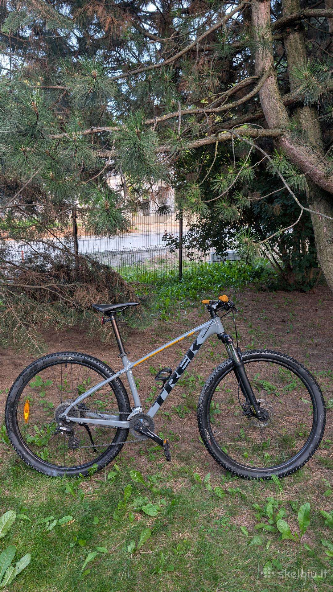 Trek Marlin 6 M 29