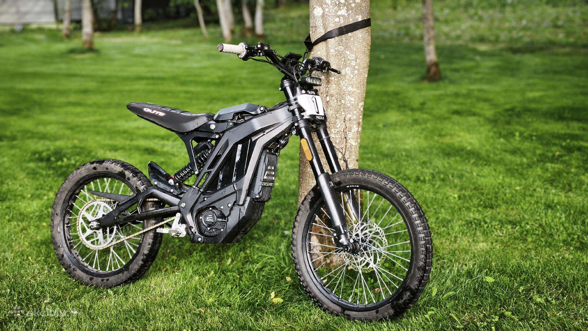 E Ride Pro Ss 2.5