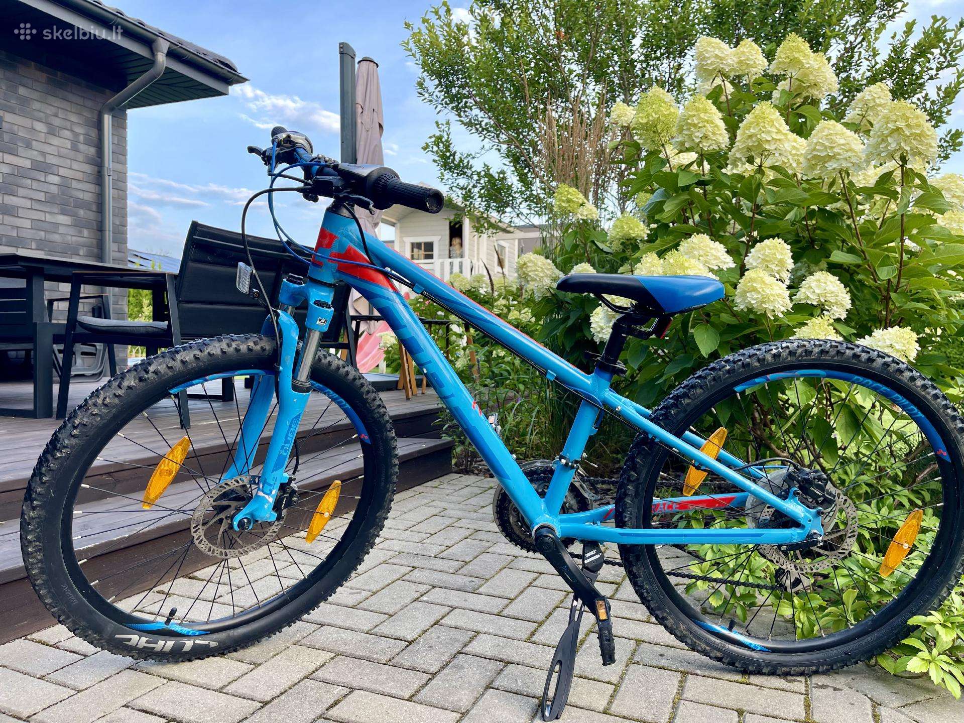 Cube Race 240 Disc