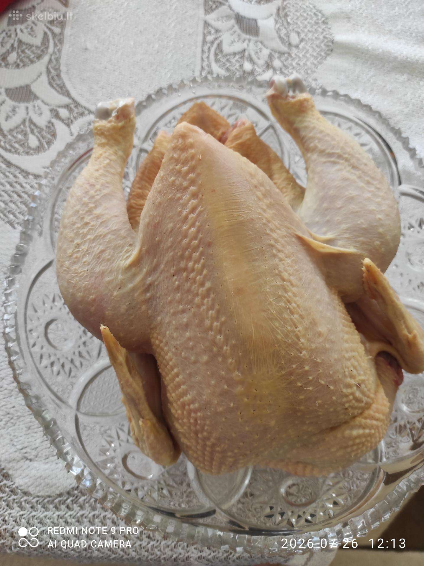 Vištiu mėsa
