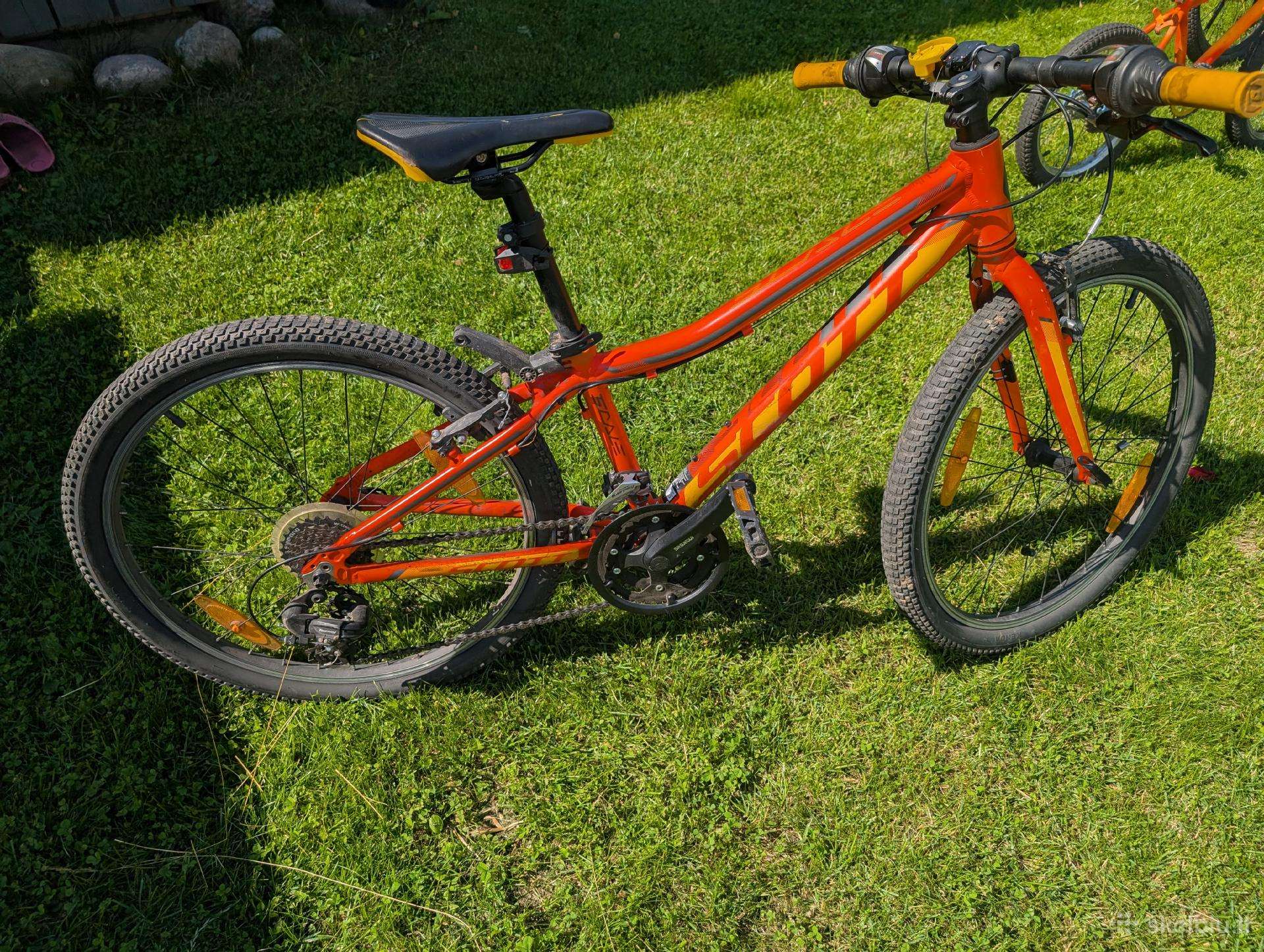 Scott Scale 24"