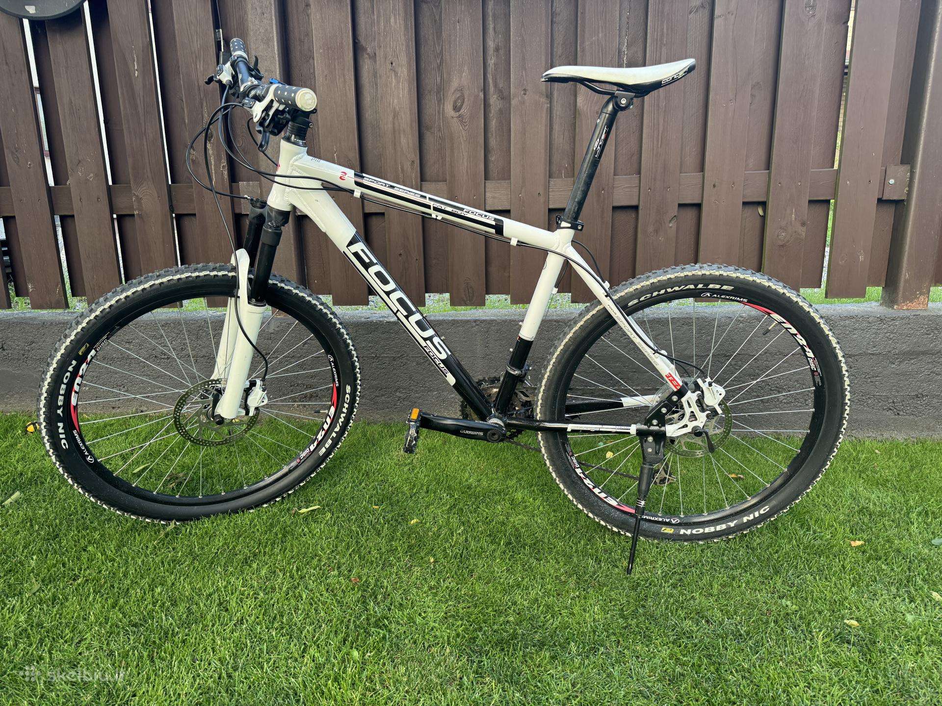 Focus Fat Boy 26", L dydis