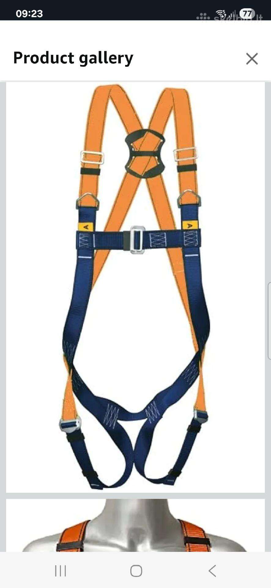 Aukštalipio diržas