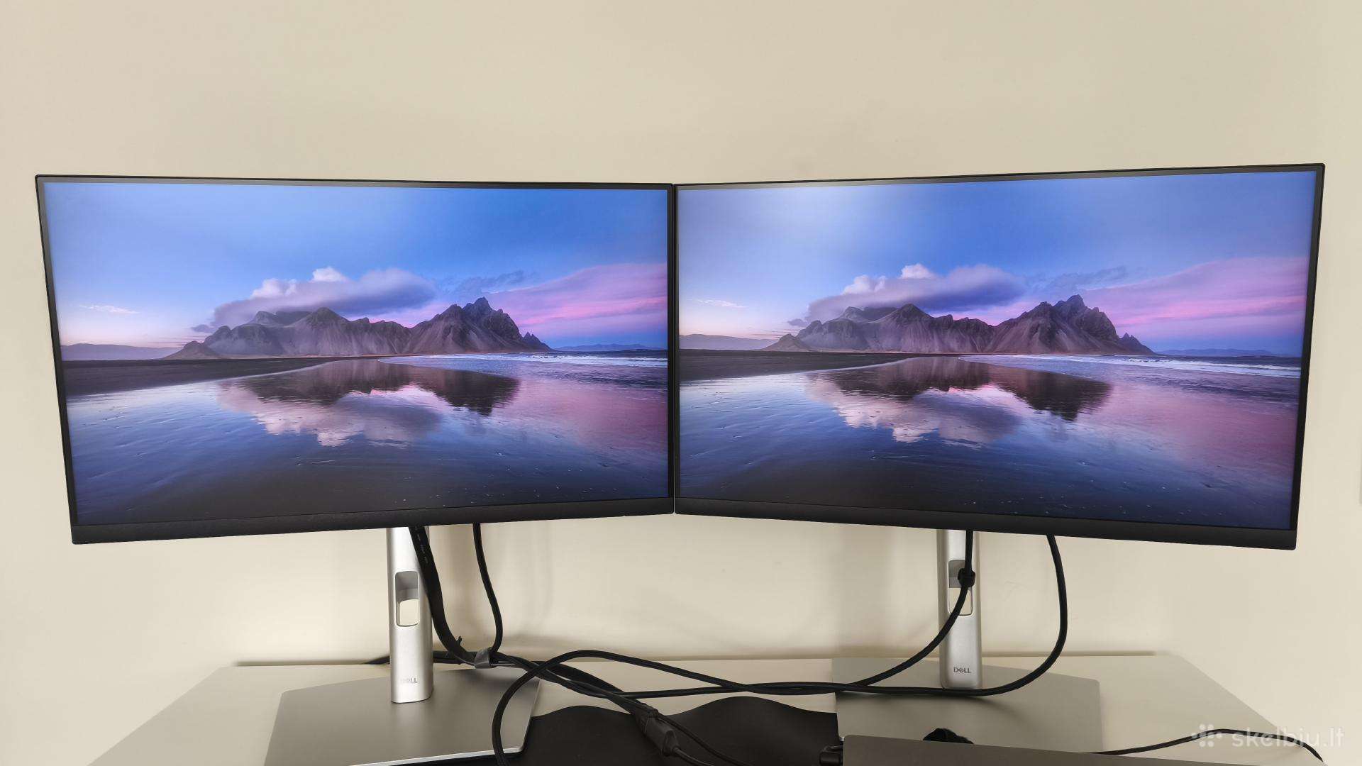 Minitorius Dell P2222h