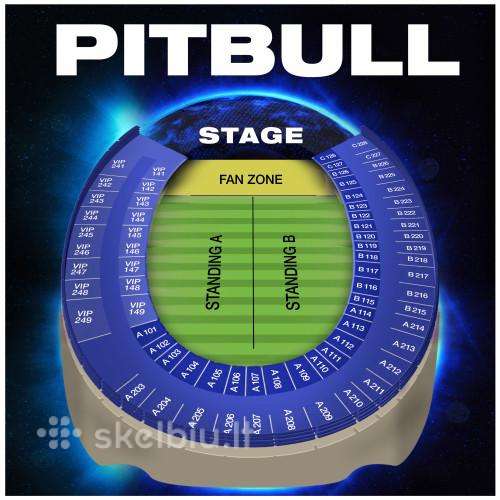 Sėdimas bilietas Pitbull liepos 31