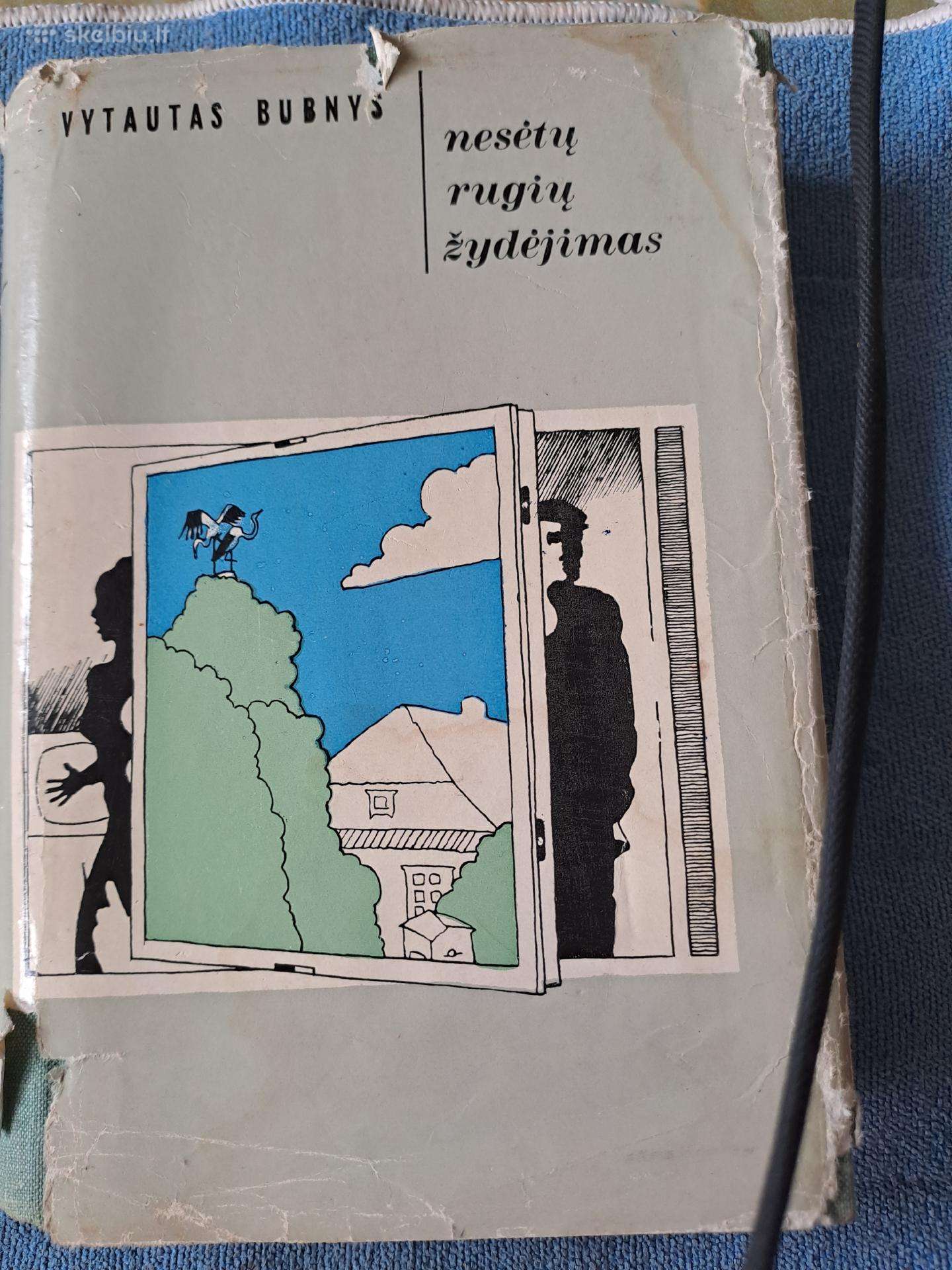 Nesėtų rugių žydėjimas