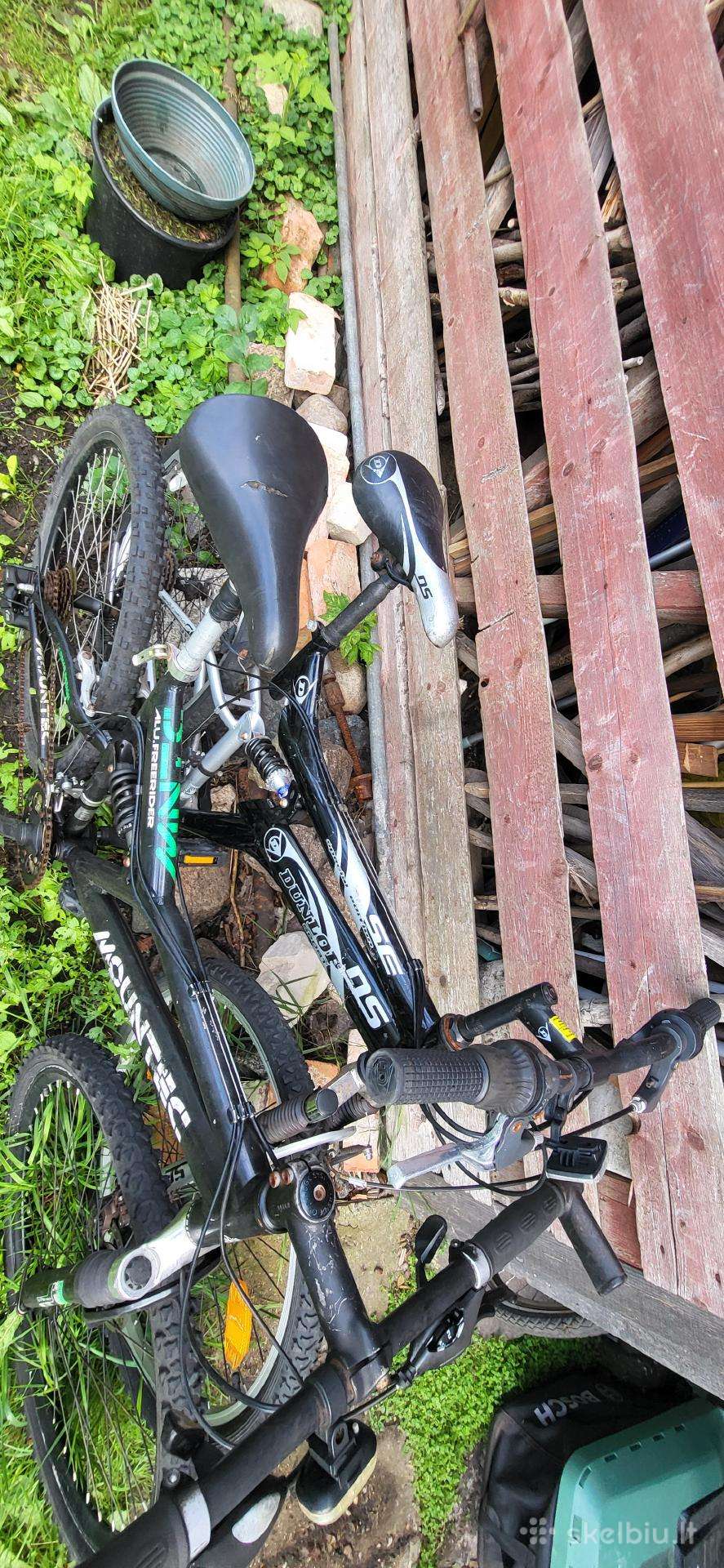 Mountain bike Adriatica