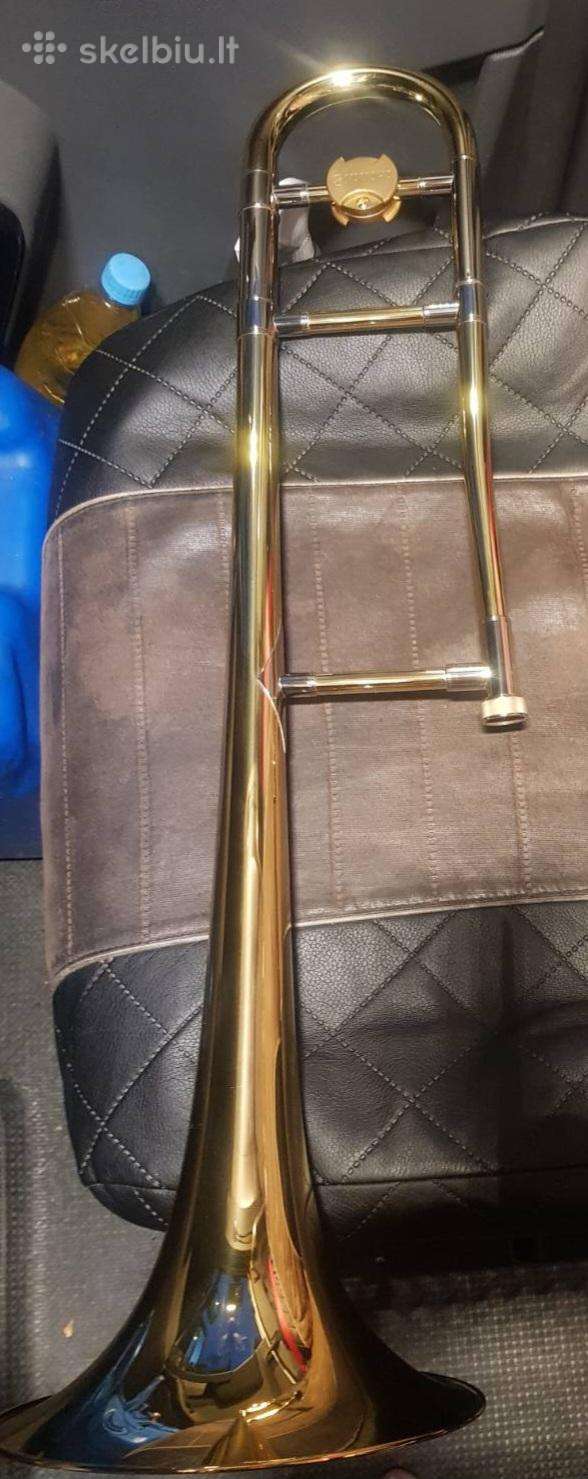 Profesionalus trombonas