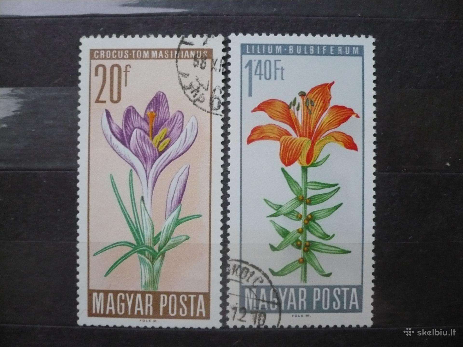 1966 m. Saugomos gėlės