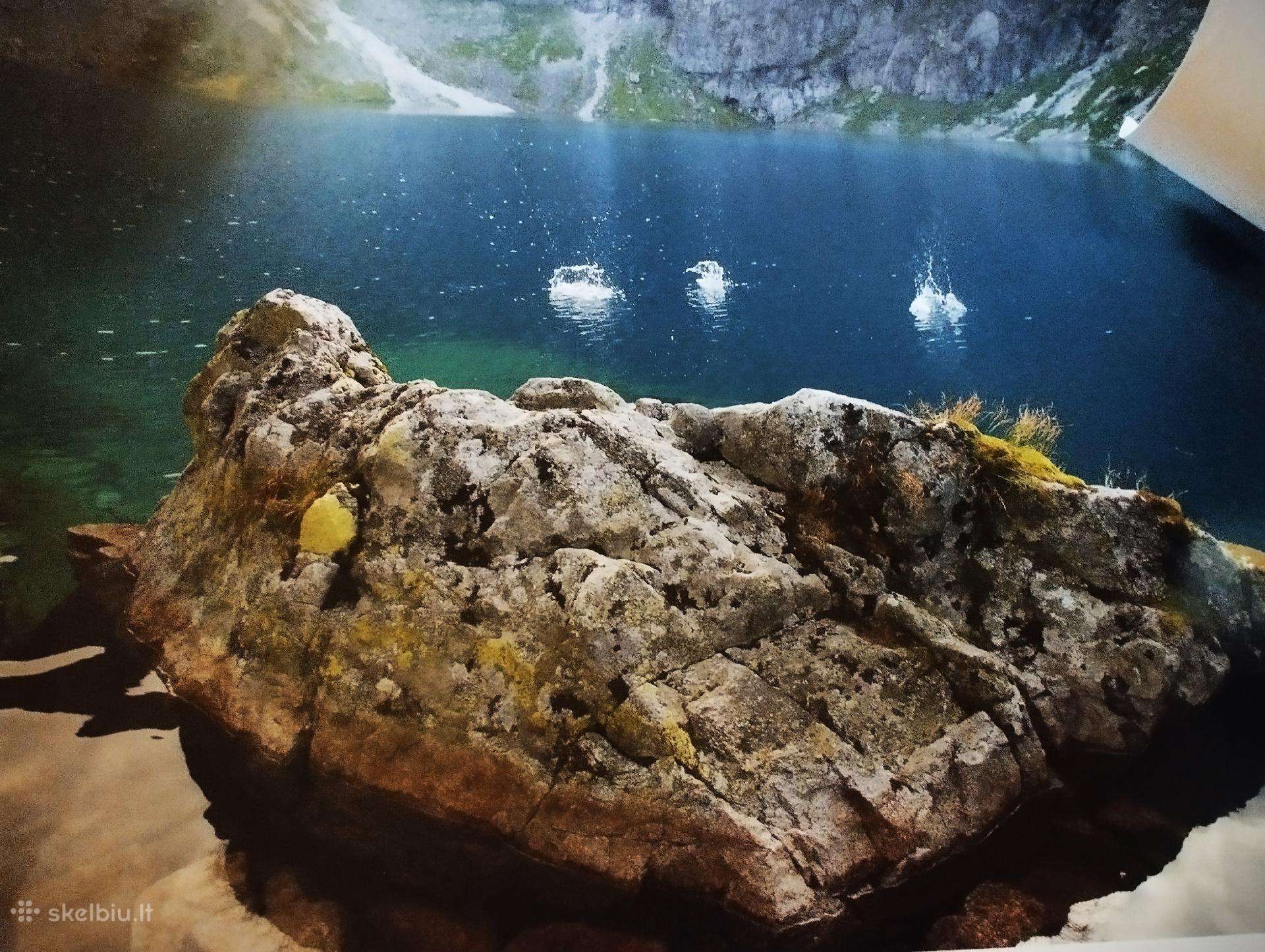 Parduodamos kolekcinės fotografijos