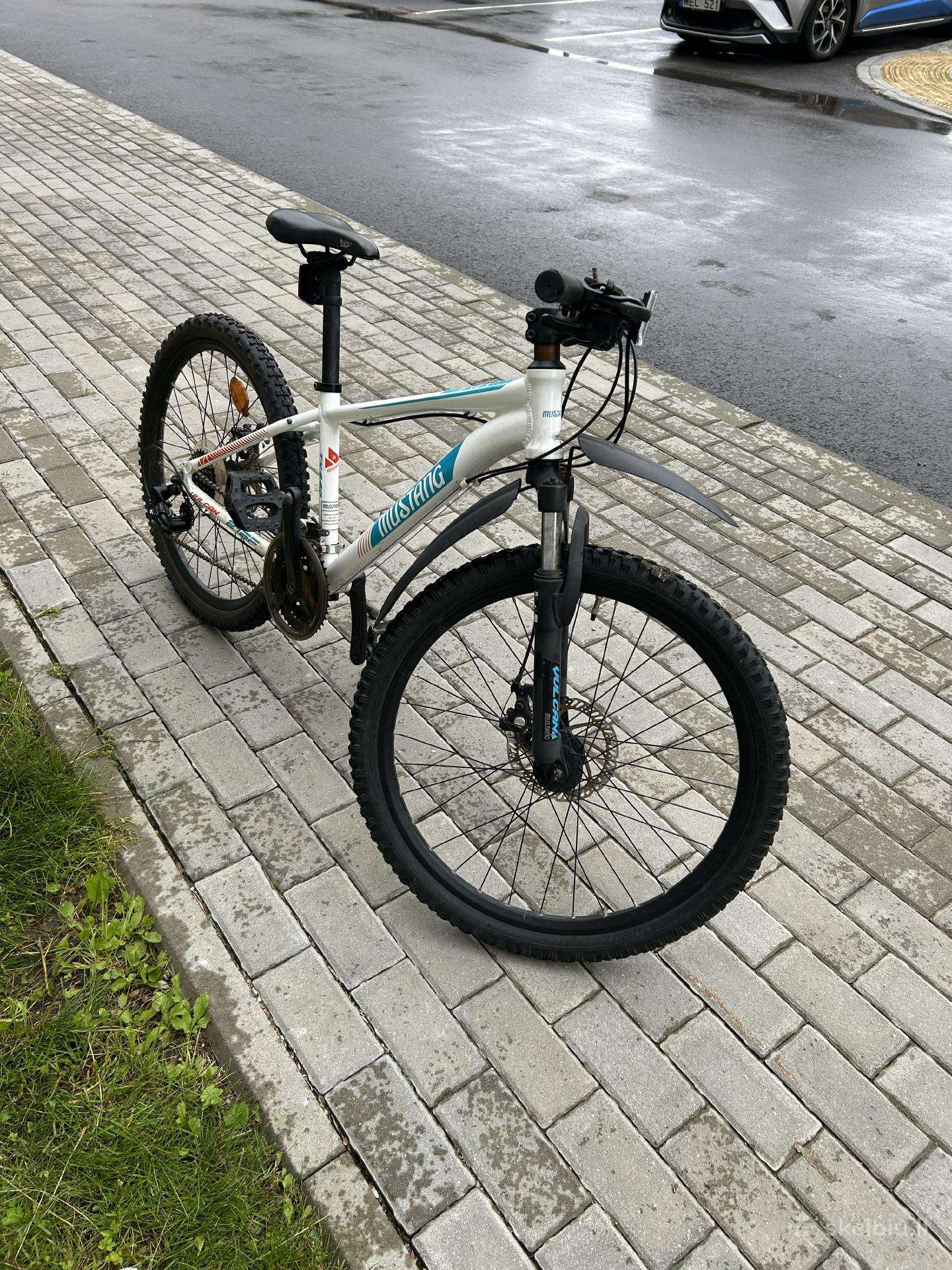Mountain bike -Kita- 24″