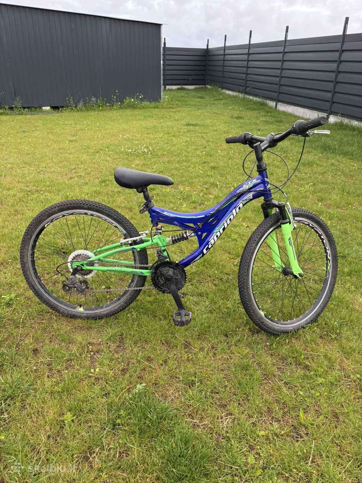 Mountain bike Capriolo 24″