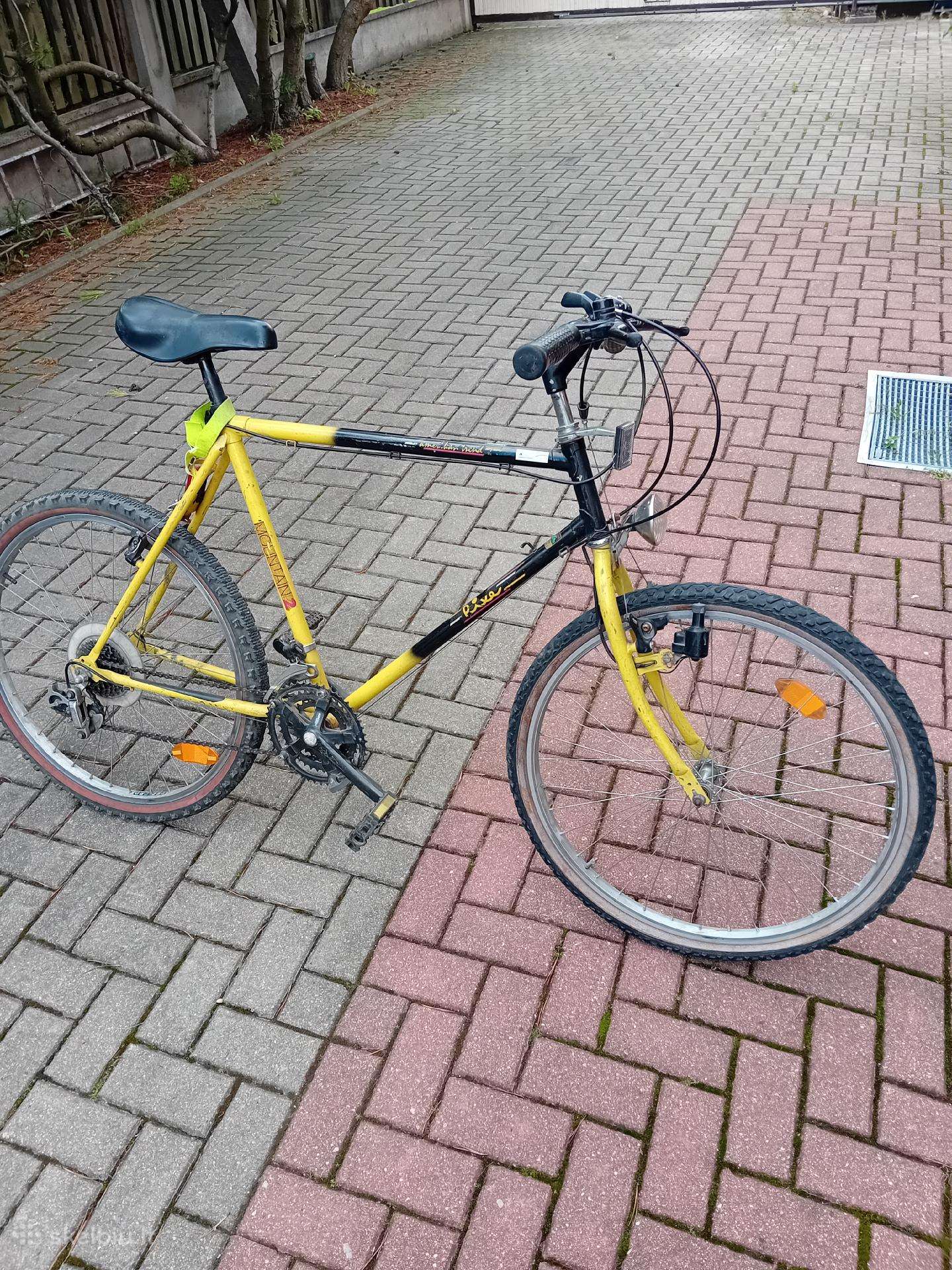 Sportinis dvirati su bėgiais