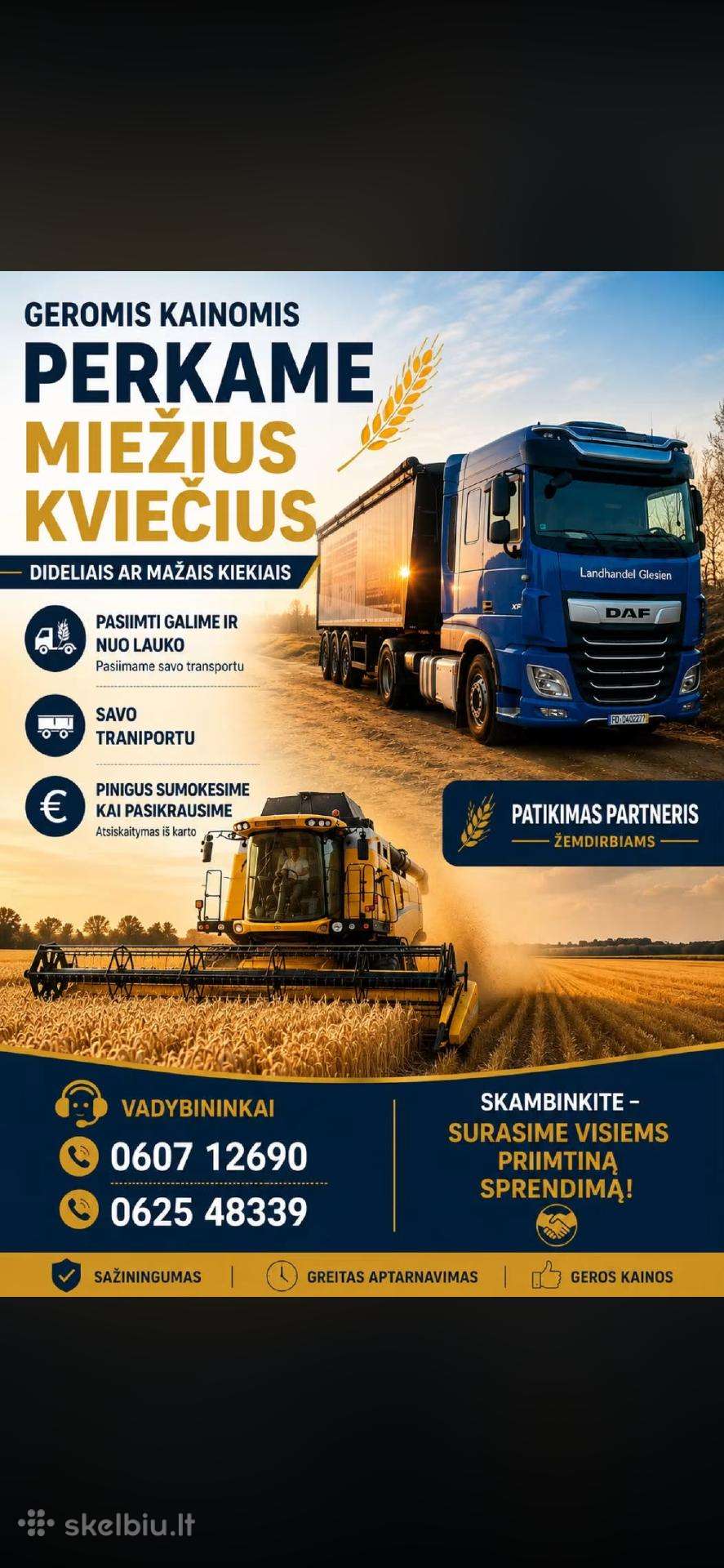 Grūdų supirkimas, perkame grūdus,kiečius miežius