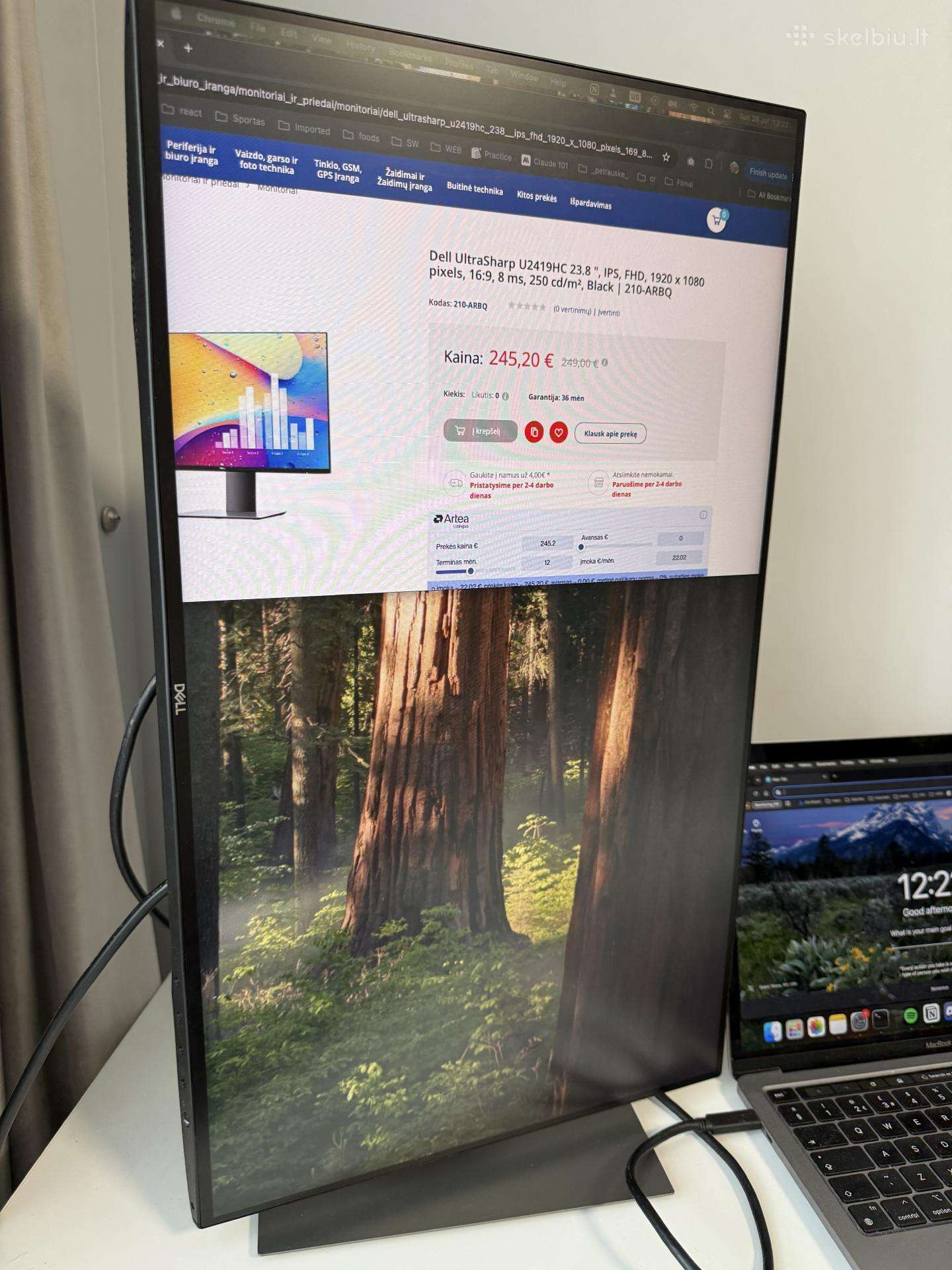Monitorius Dell U2419hc