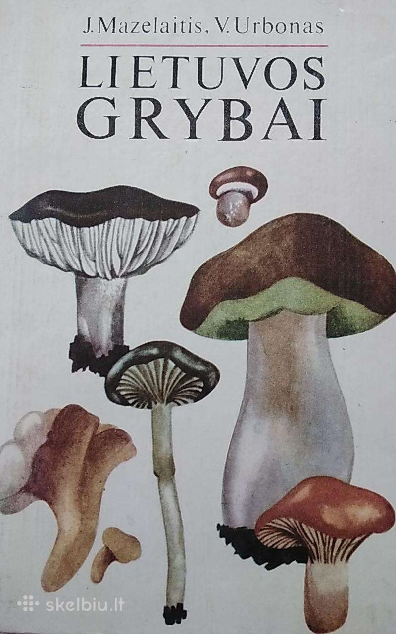 Lietuvos grybai