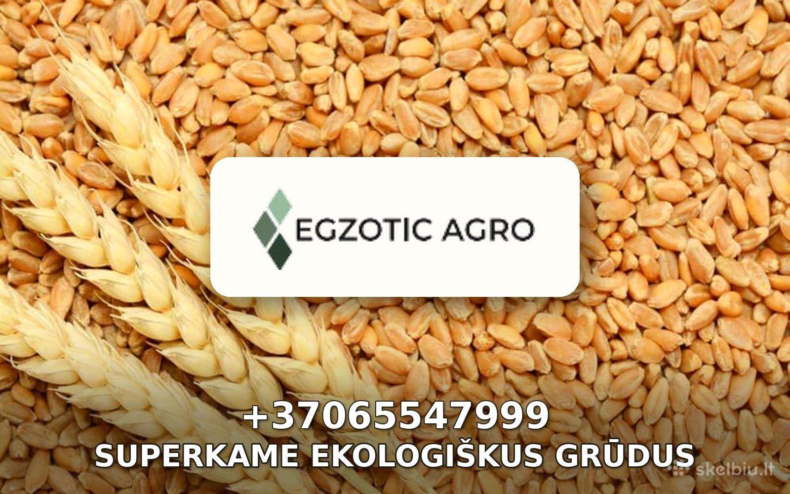 Superkame Ekologiškus Grūdus