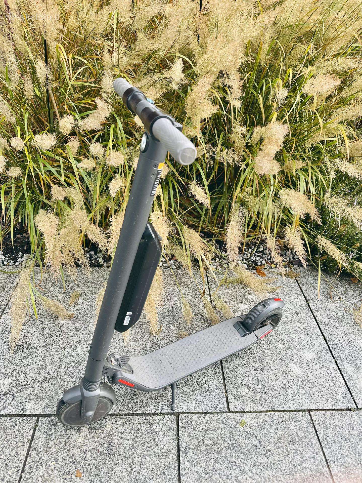 Paspirtukas Segway Ninebot Kickscooter Es4