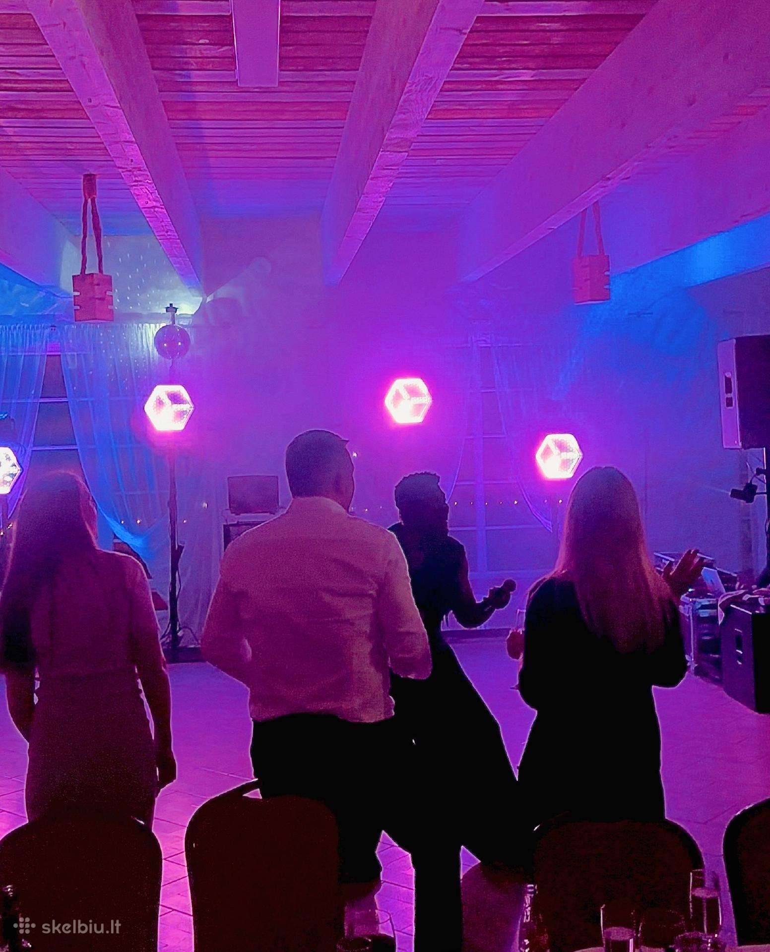 Garso ir apšvietimo nuoma, Dj vedėjų paslaugos