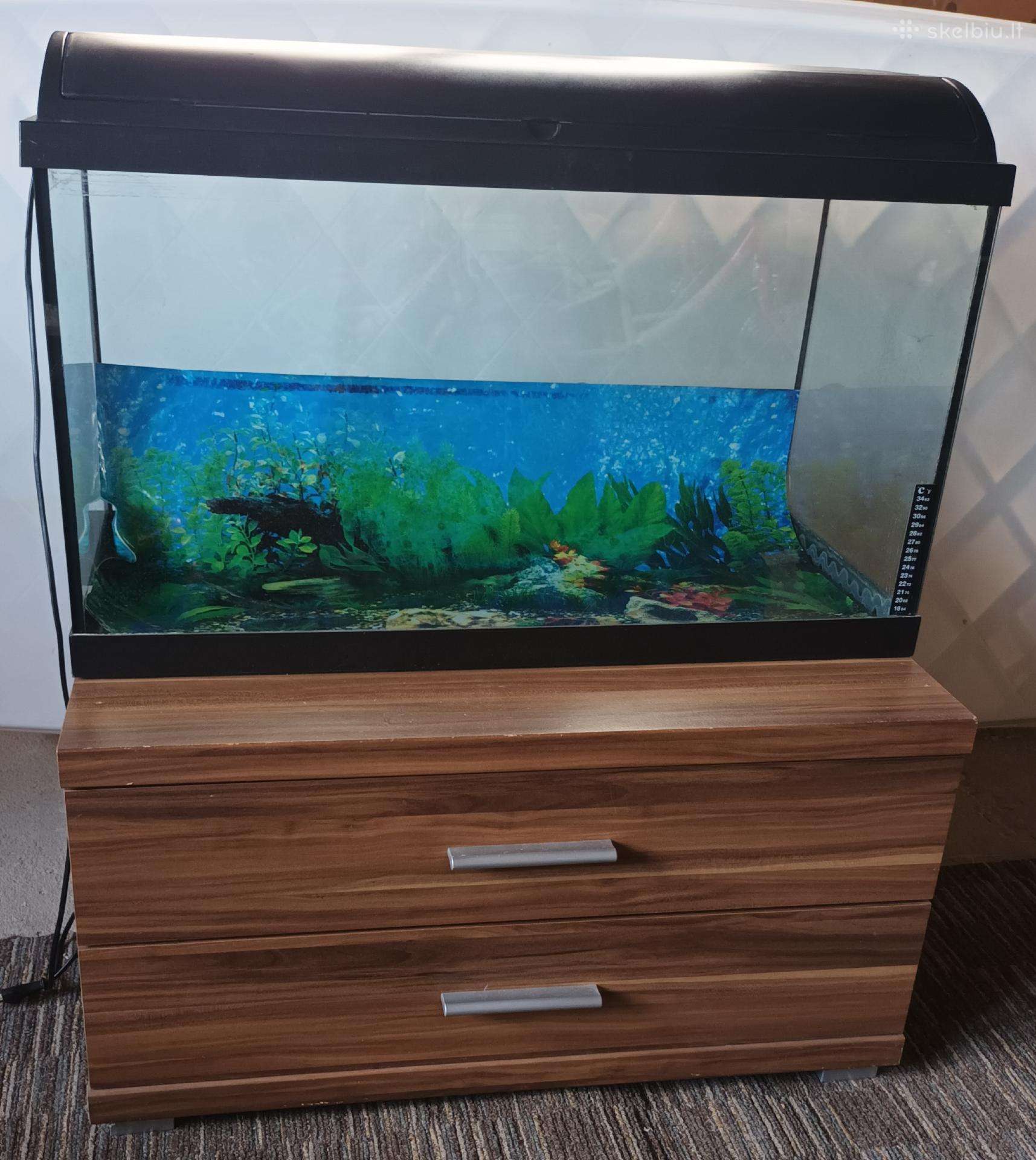 Akvariumas 120 L + spintele