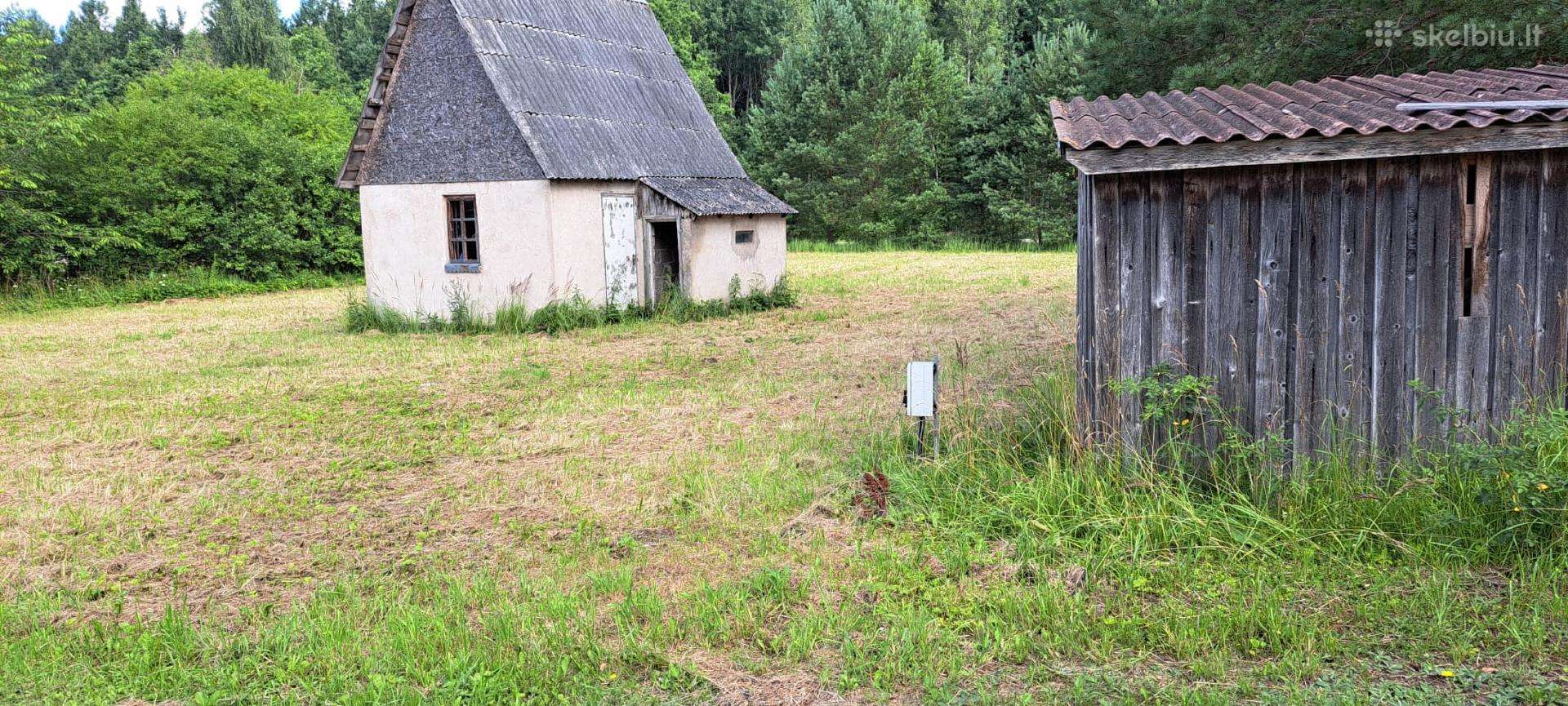 Parduodamas 11,33 a sodo sklypas SB „pušynas“