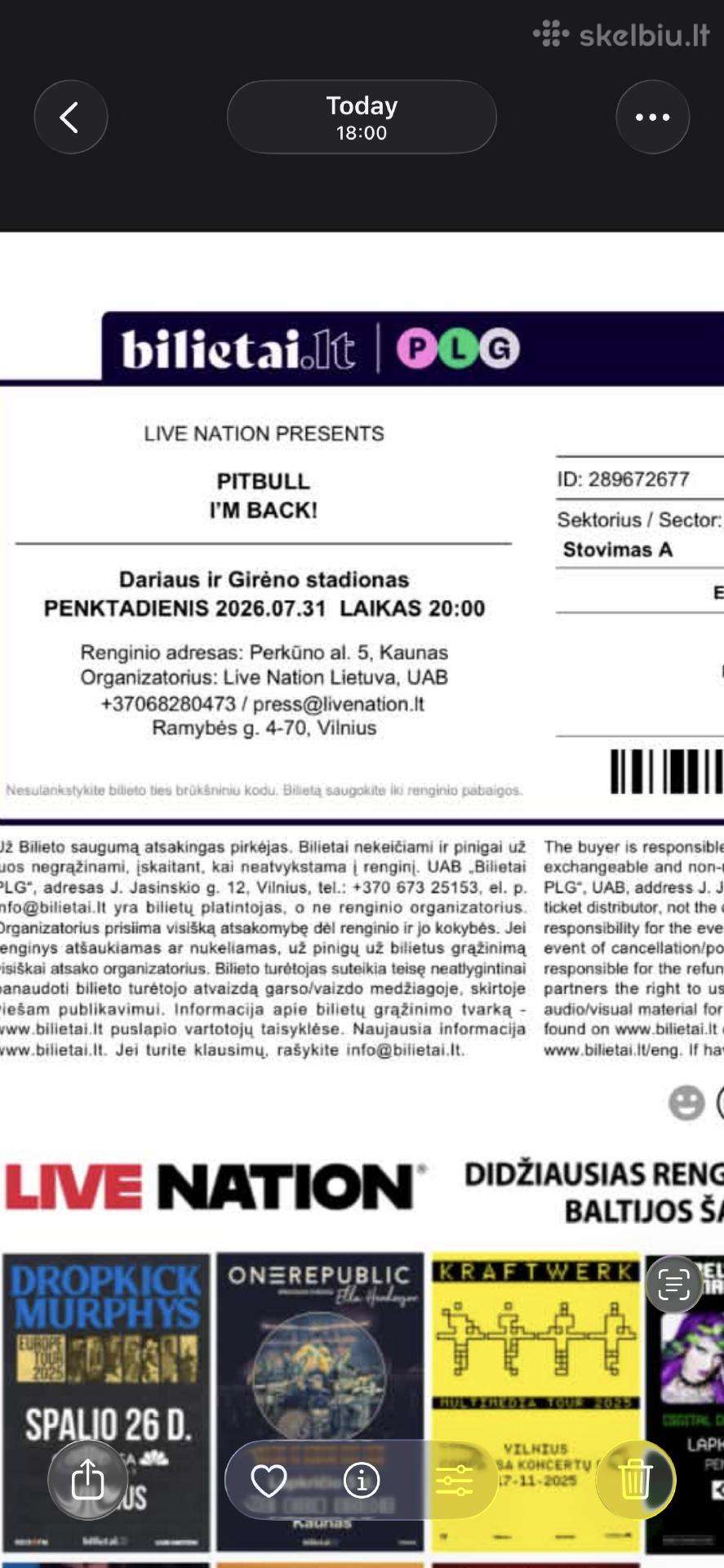 Pitbull bilietas A sektorius
