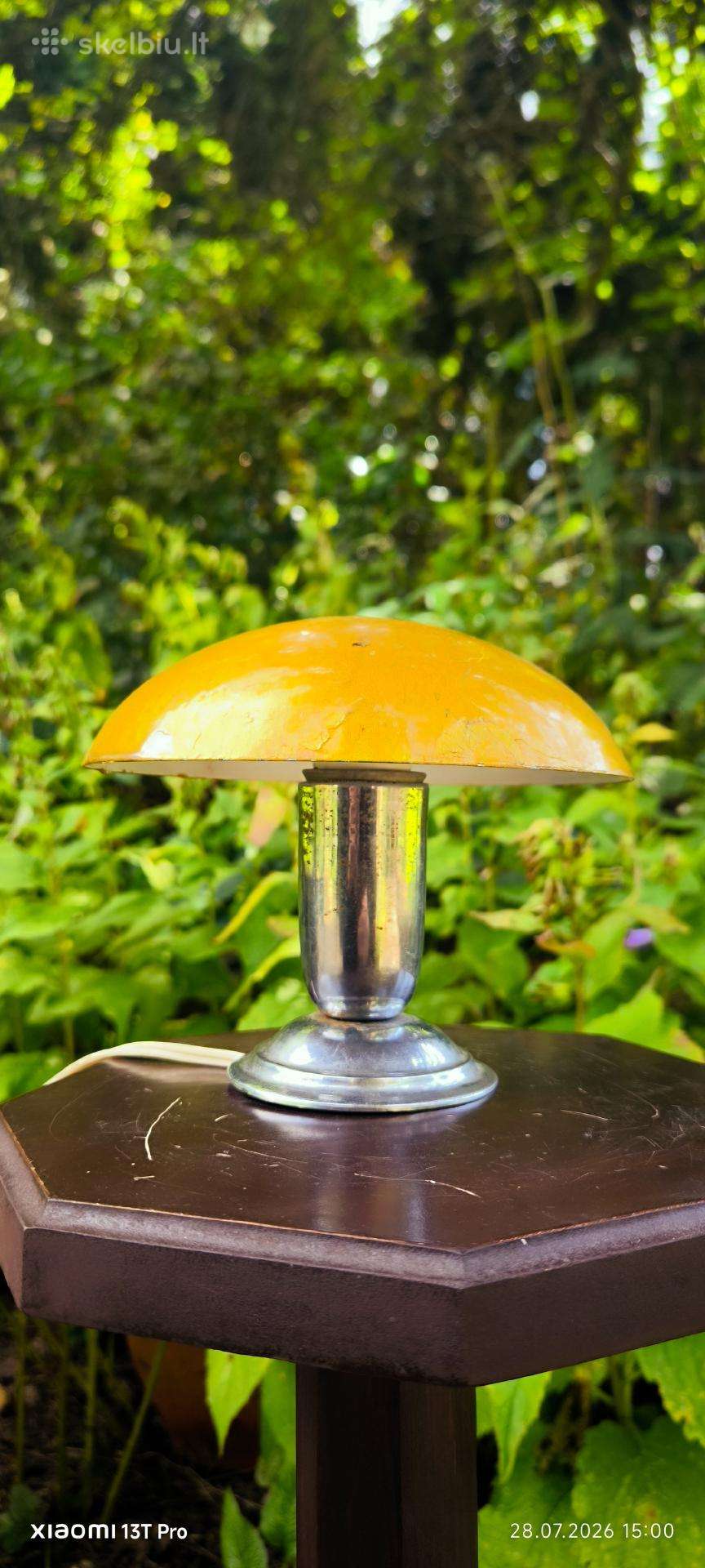 Midcentury stiliaus vintazinis naktinukas grybukas