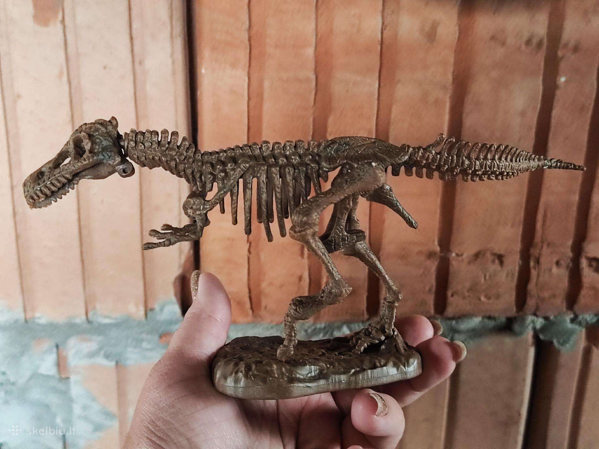 Dinozauro griaučiai dėlionė