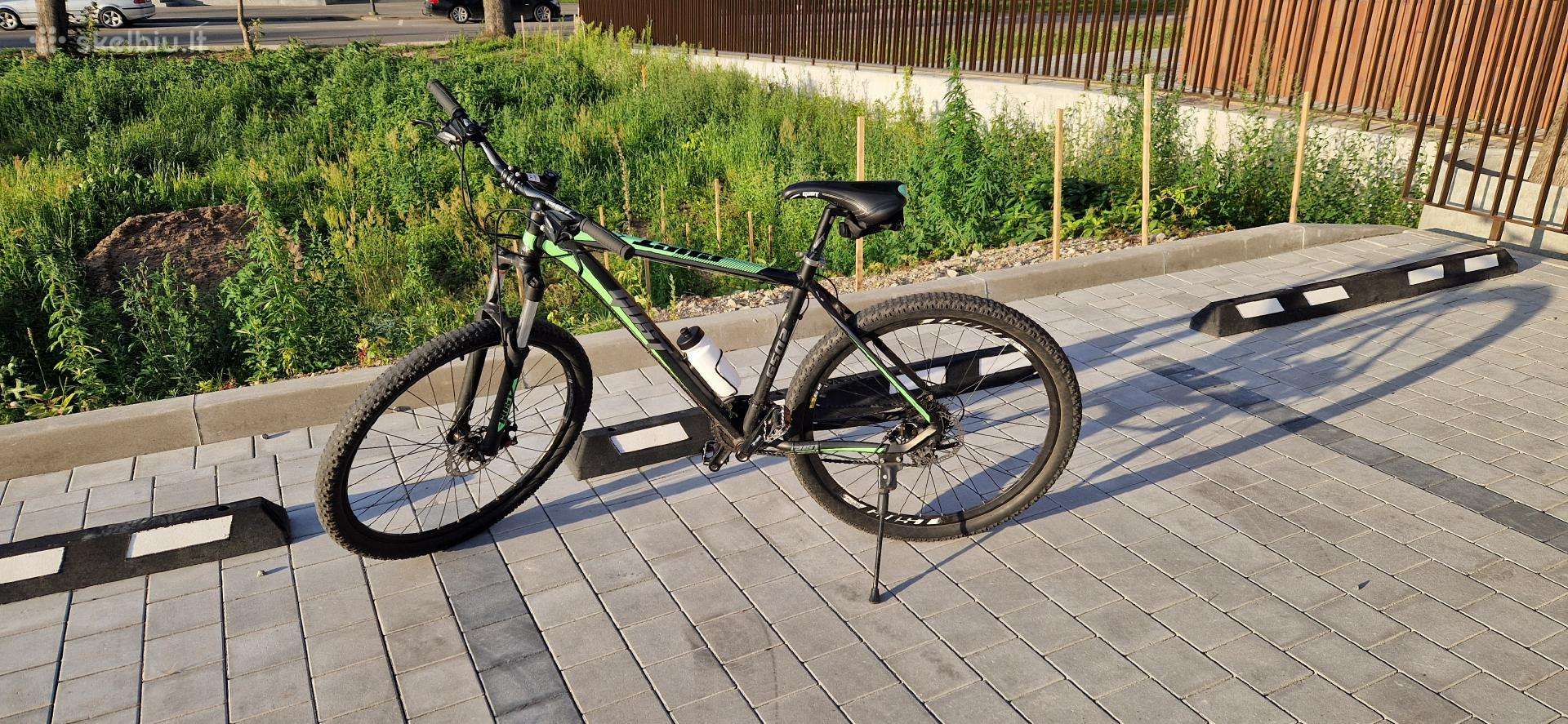 Dviratis 29" ratai