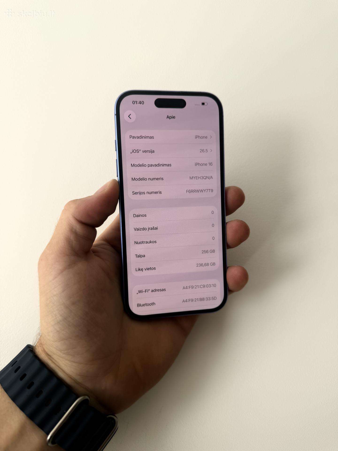 iPhone 16 256