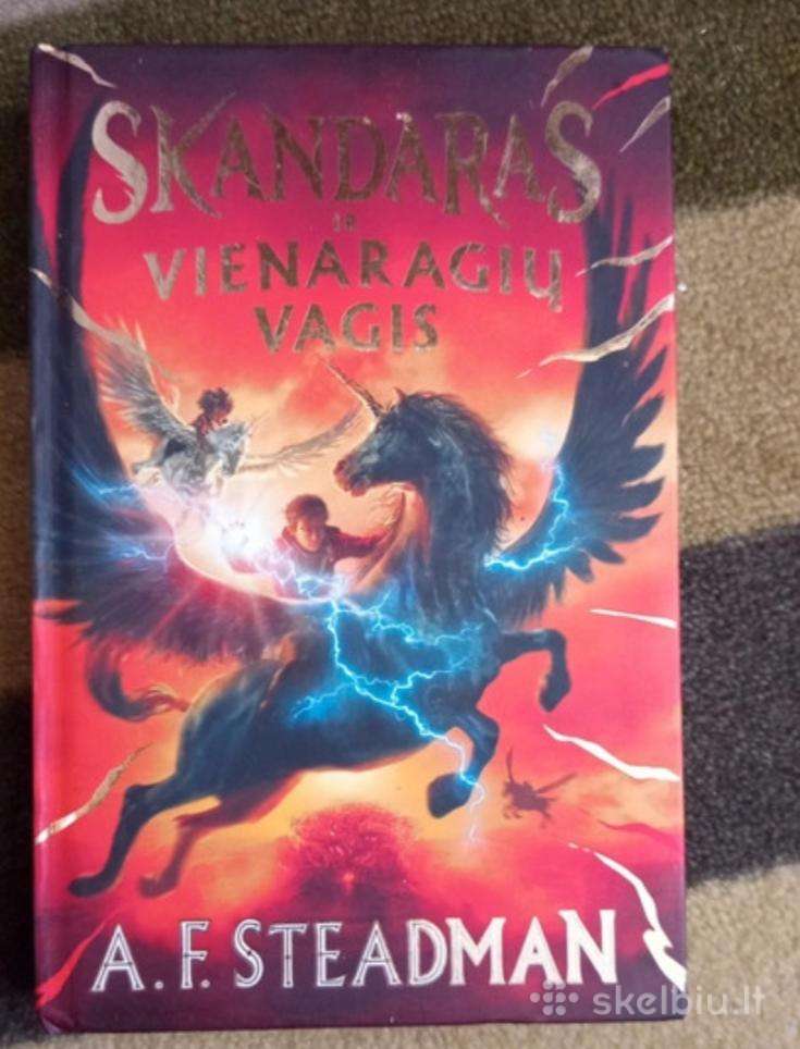 Skandaras ir vienaragių vagis