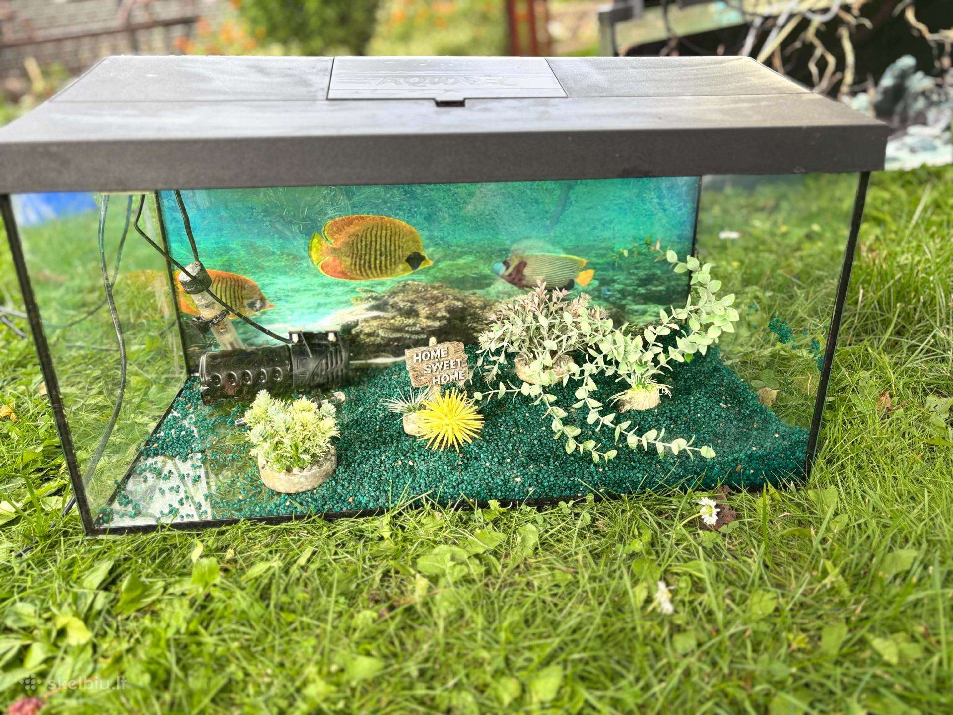 Akvariumas 60l