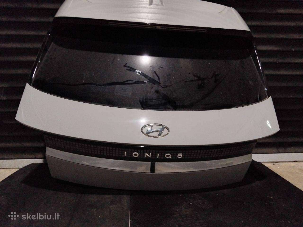 Hyundai Ionic 5 dalys