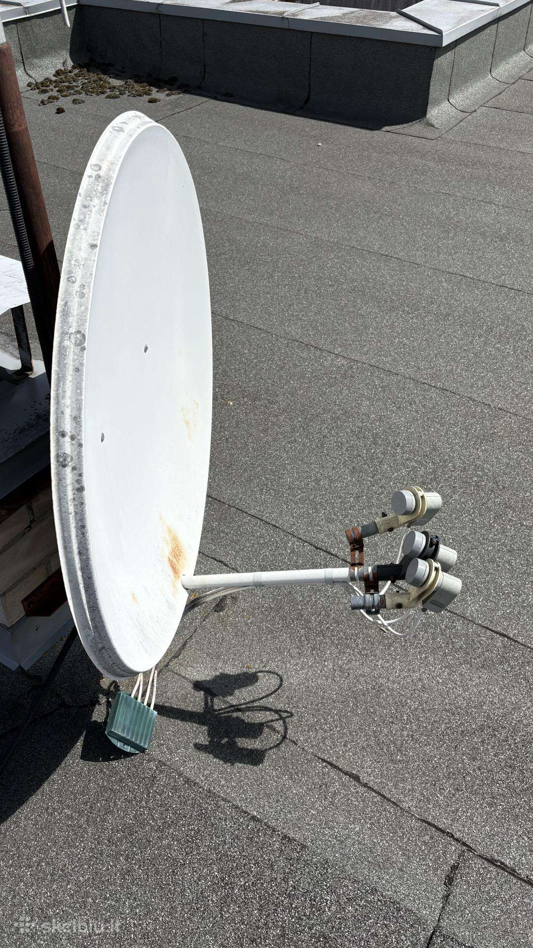 Palydovinė antena