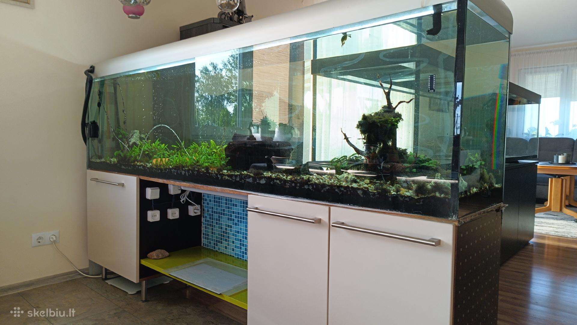Akvariumas
