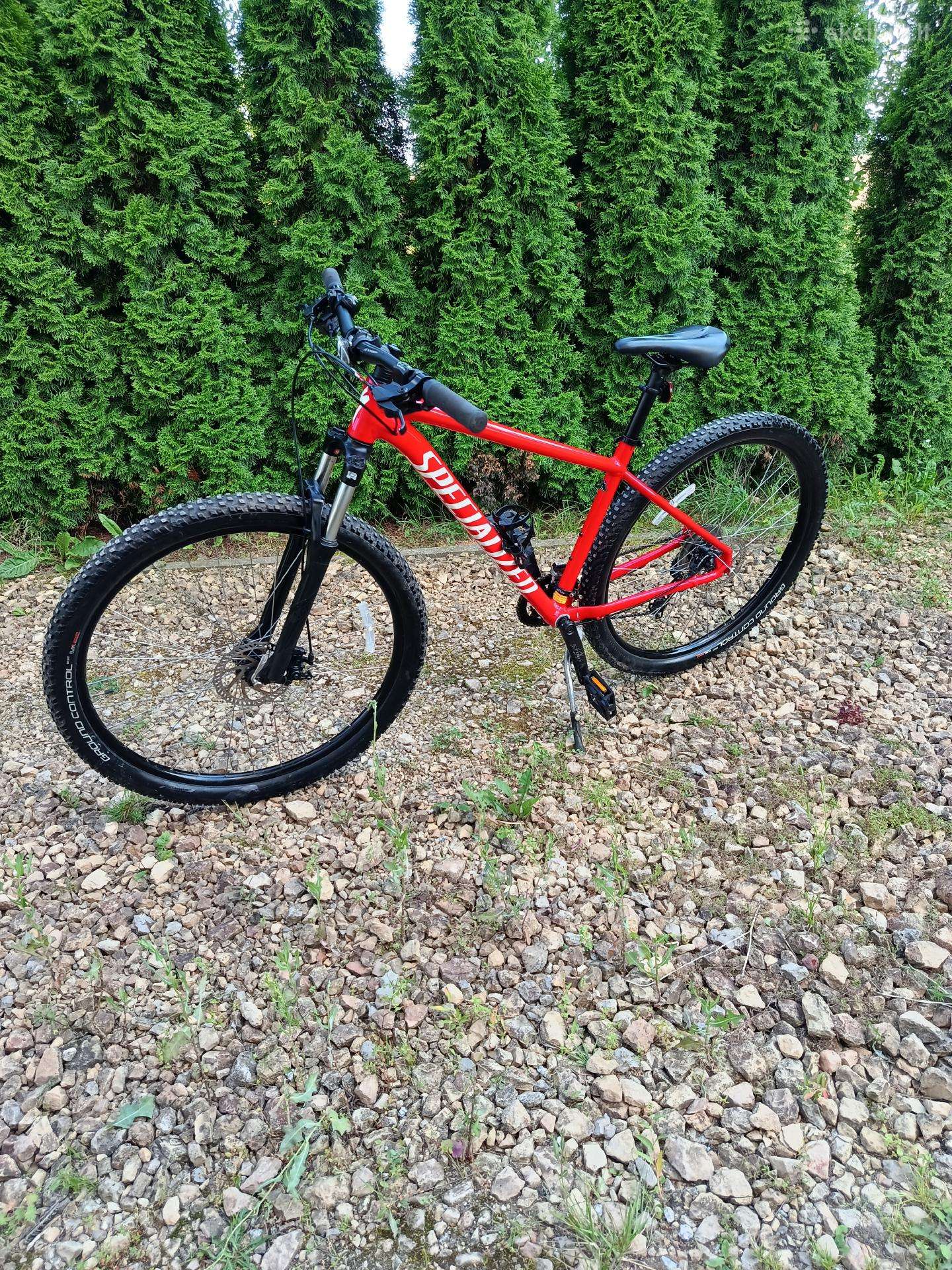 Specialized kalnų dviratis
