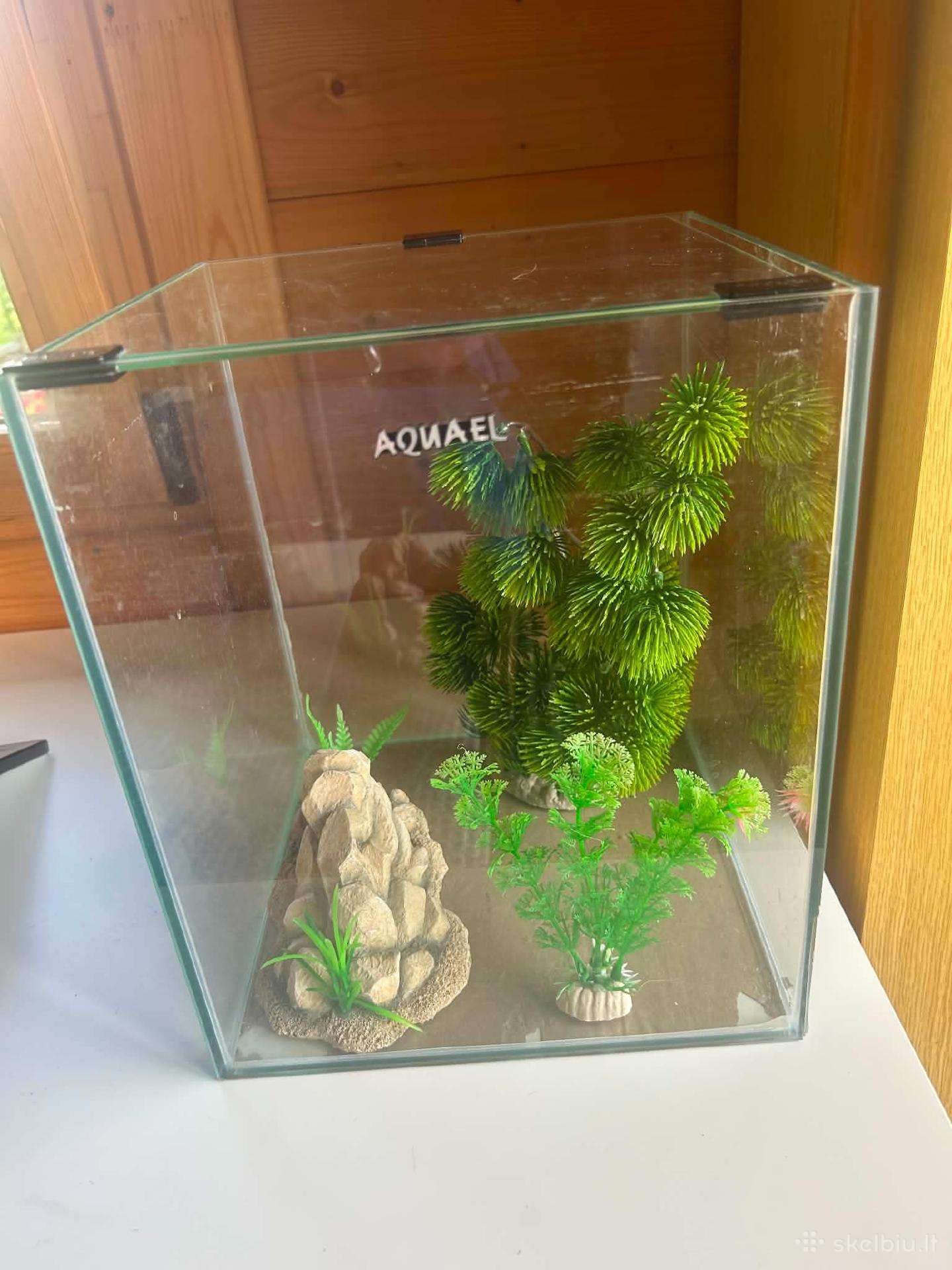 Akvariumas su burbuliatoriumi ir šviestuvu