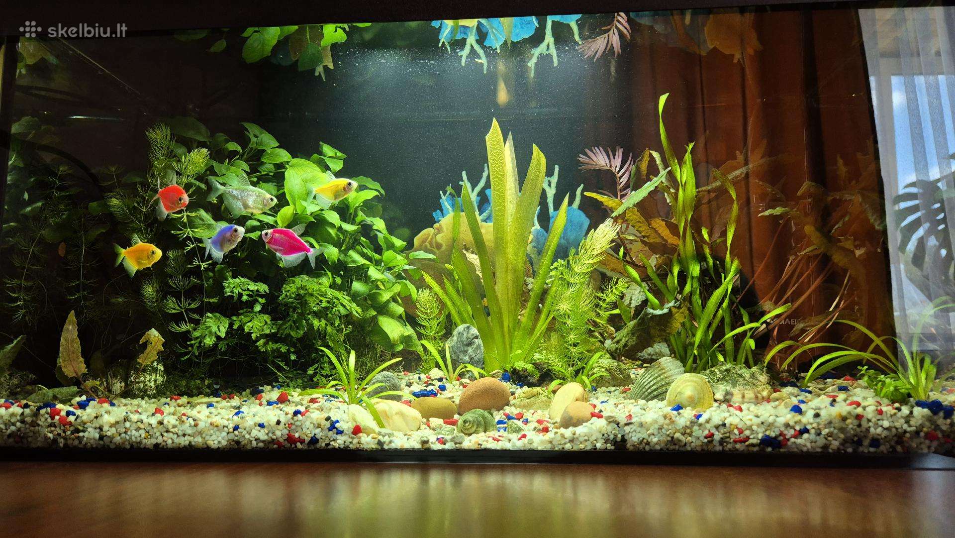 Akvariumas 54 L