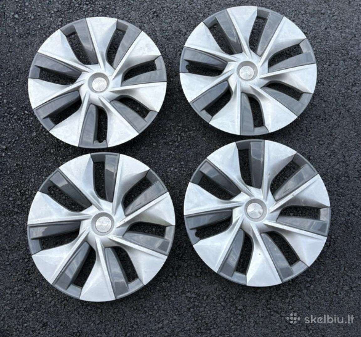 Tesla Y ratu gaubtai R19