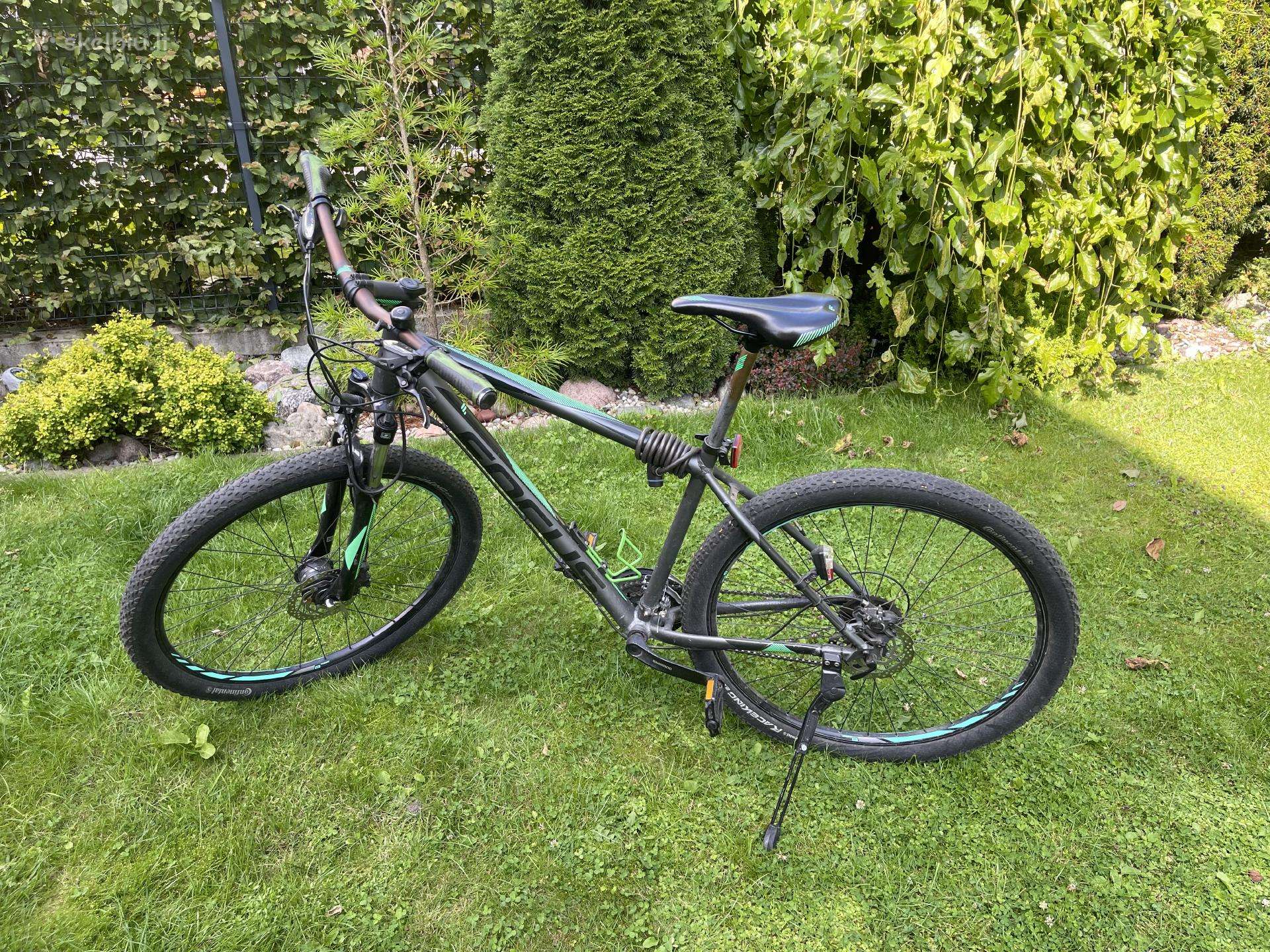 Dviratis focus whistler 29 ratai