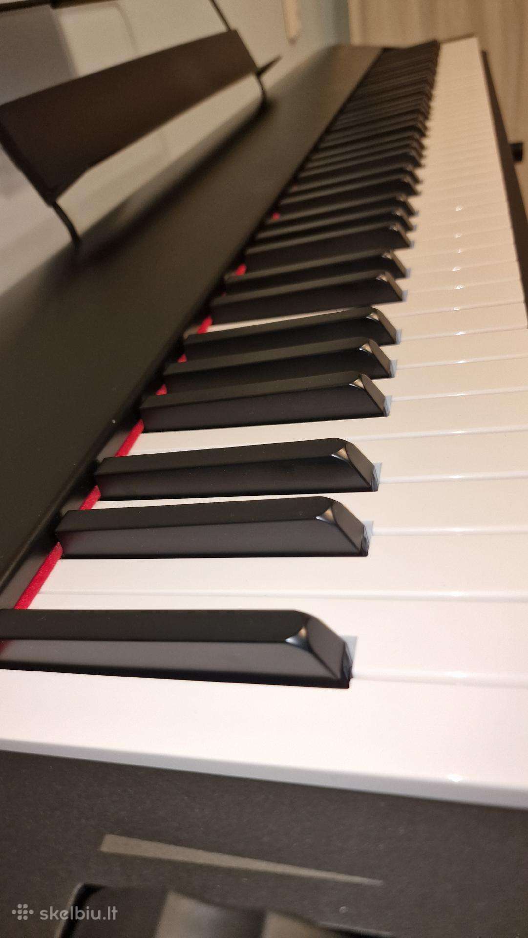 M-audio Hameer 88 Piano Bundle