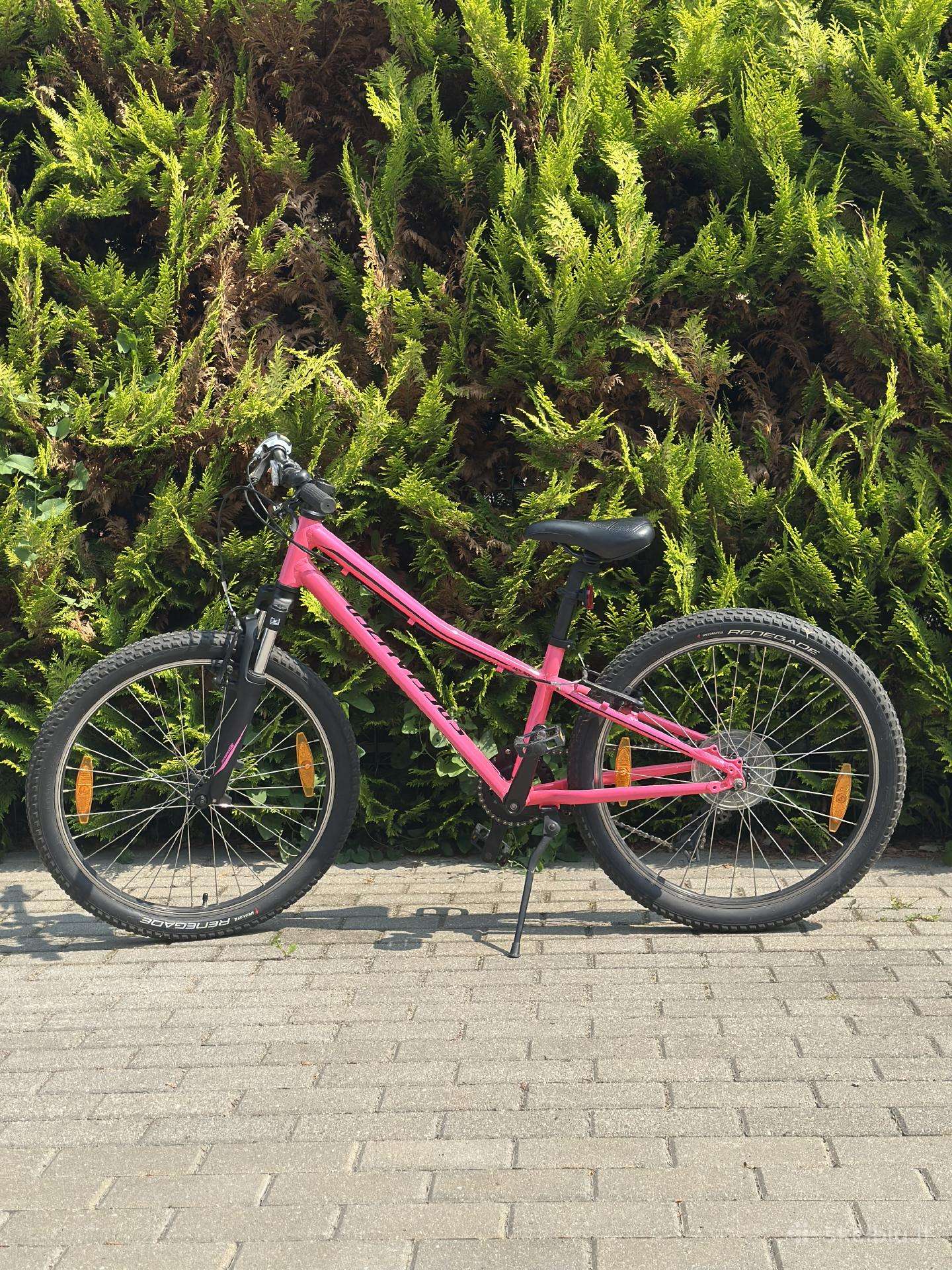 Specialized Hotrock 24